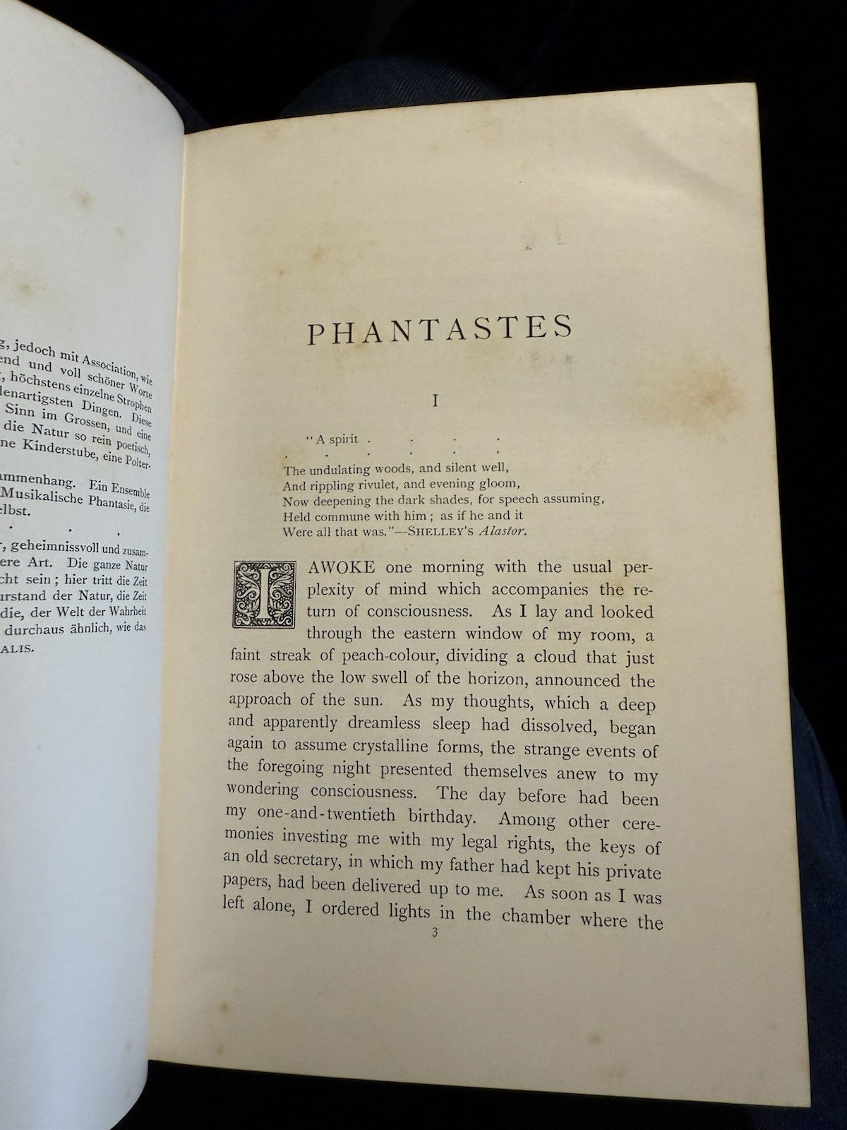 1894 George MacDonald : Phantastes A Faerie Romance : 1st Illustrated