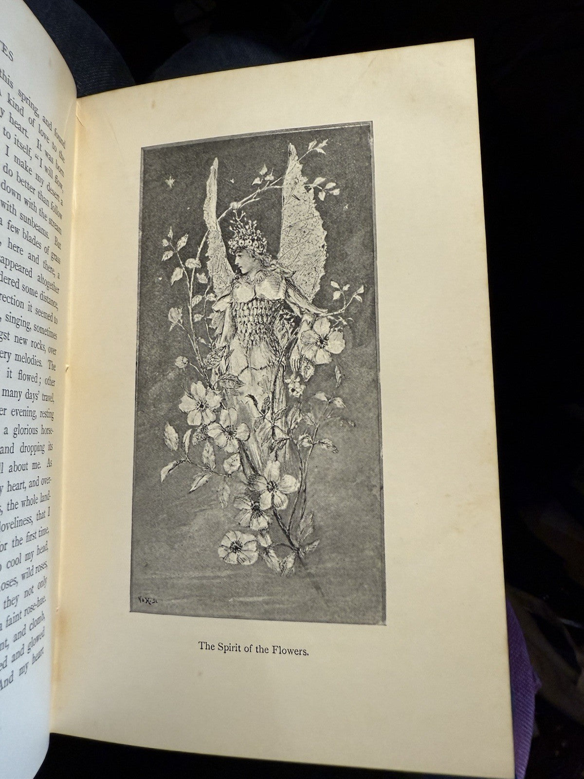 1894 George MacDonald : Phantastes A Faerie Romance : 1st Illustrated