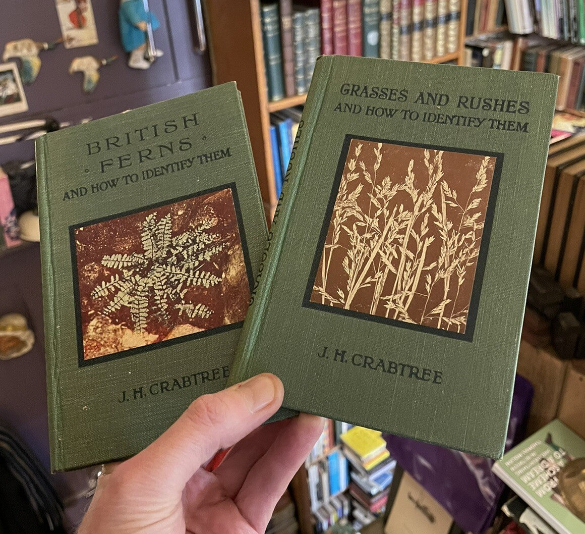 Grasses & Rushes + British Ferns : How to Identify Them : J H Crabtree : Plants