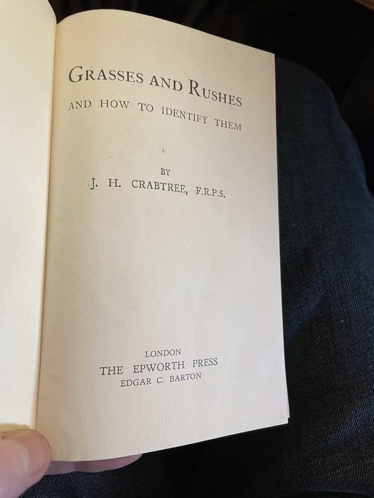 Grasses & Rushes + British Ferns : How to Identify Them : J H Crabtree : Plants