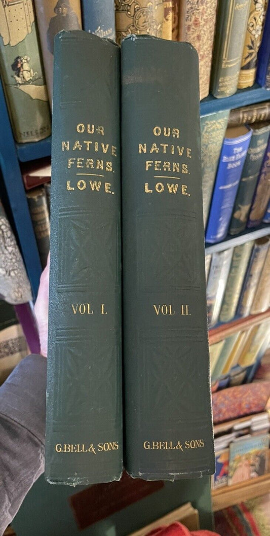 1874 Our Native Ferns (2 Volumes) Lowe : 79 Coloured Woodcuts : Botany
