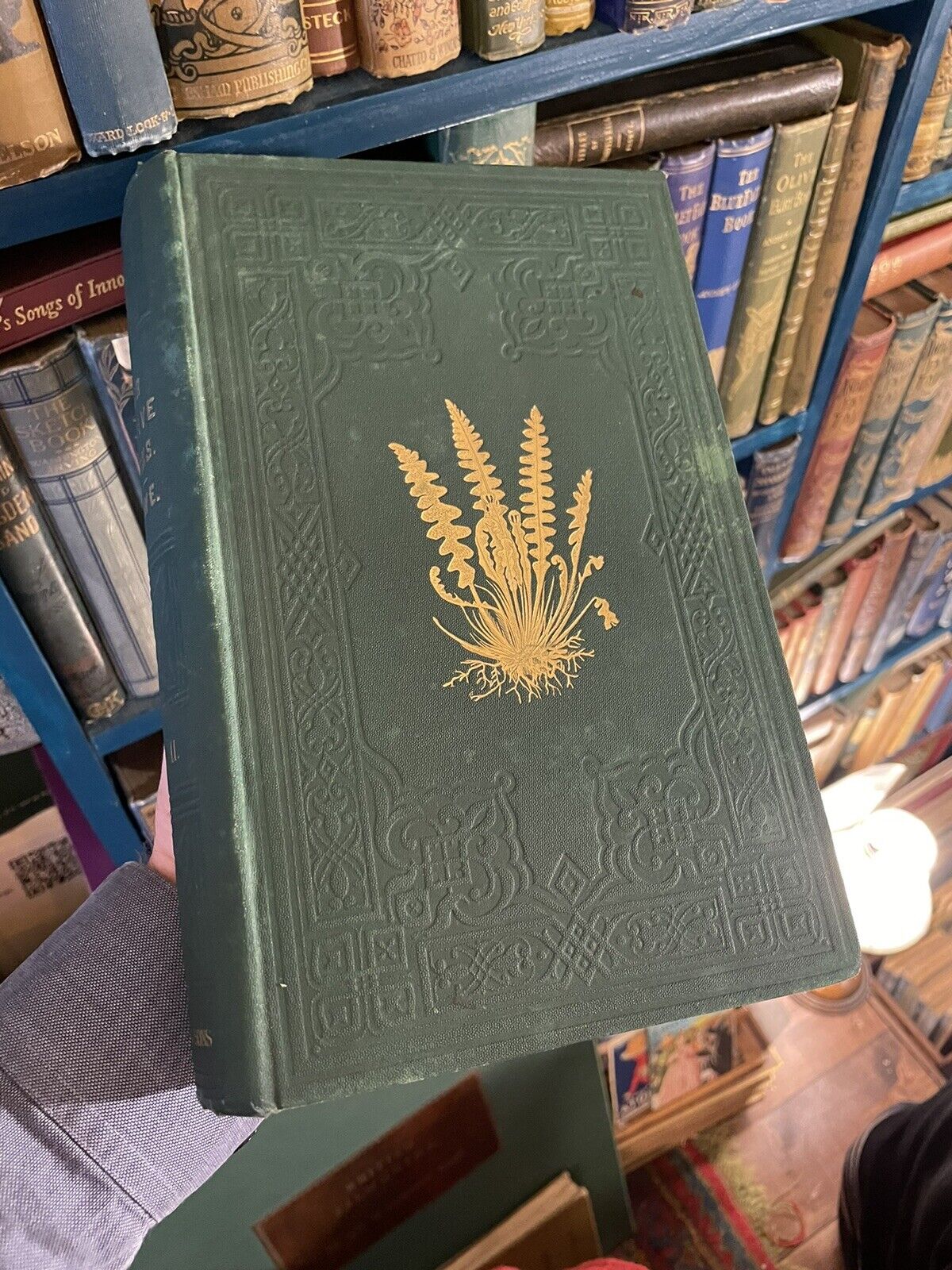 1874 Our Native Ferns (2 Volumes) Lowe : 79 Coloured Woodcuts : Botany