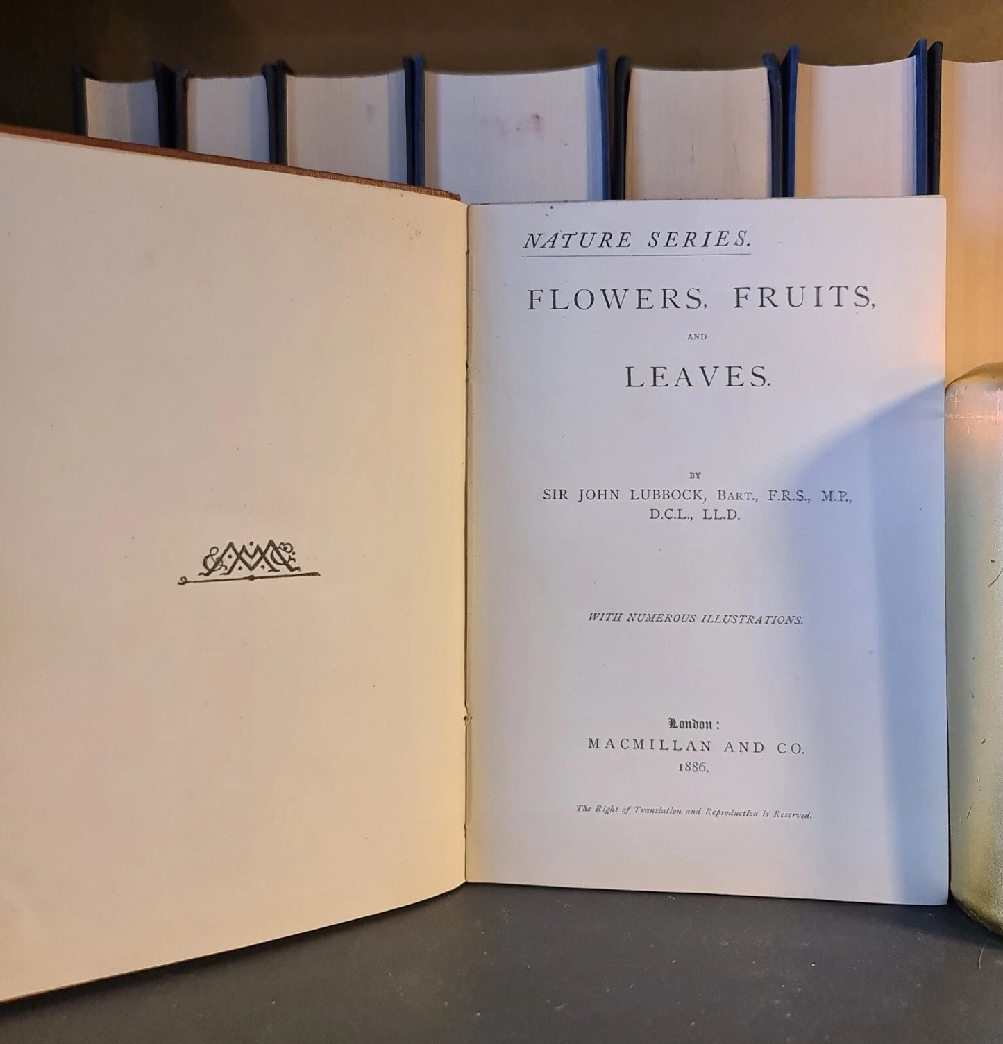 Fruits, Flowers & Leaves, John Lubbock: Nature Series: Hardback: Botany: 1886
