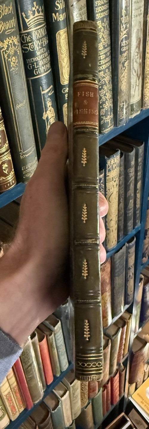 1854 Fish and Fishing in the Lone Glens of Scotland : Dr. Knox