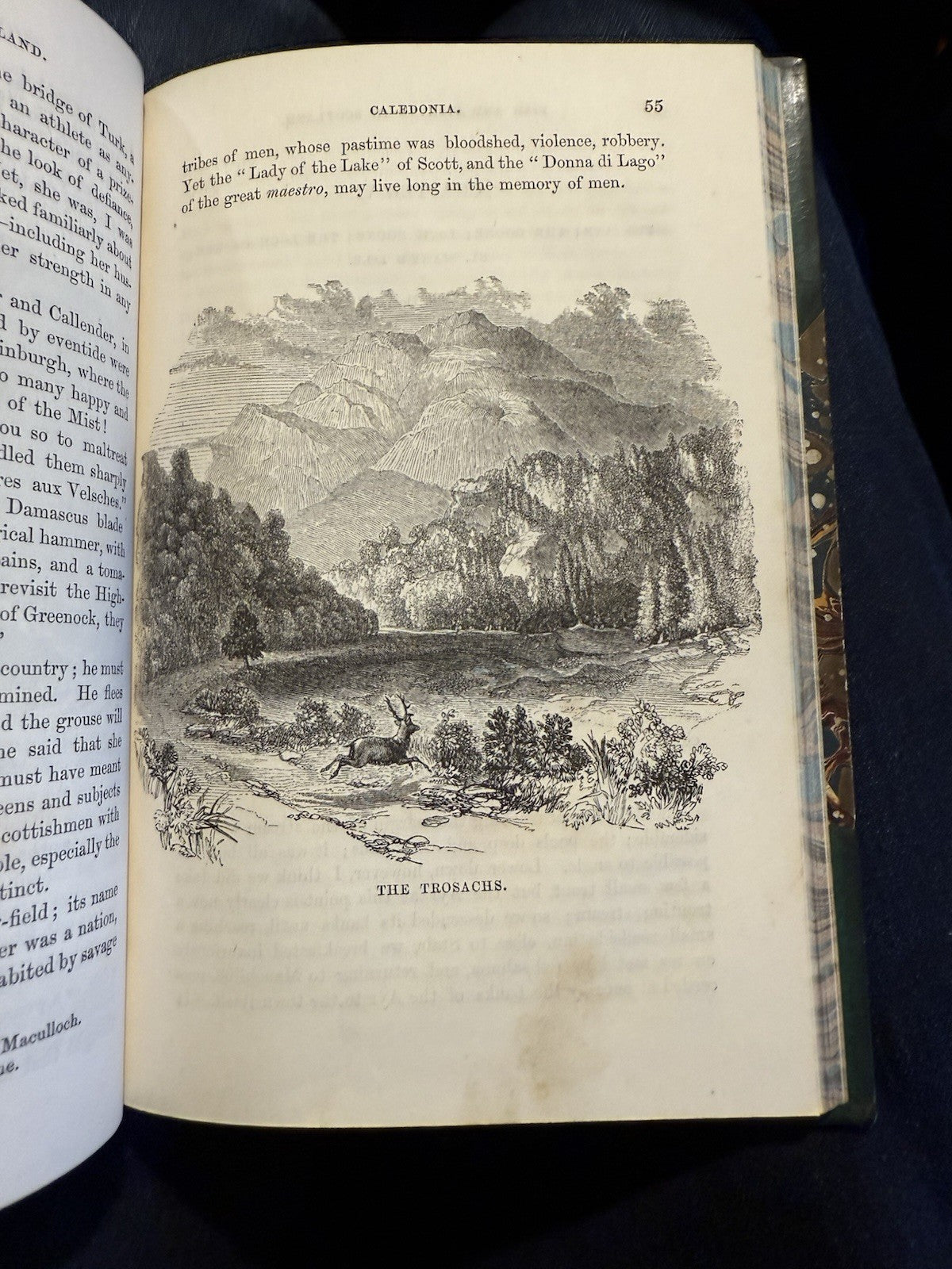 1854 Fish and Fishing in the Lone Glens of Scotland : Dr. Knox