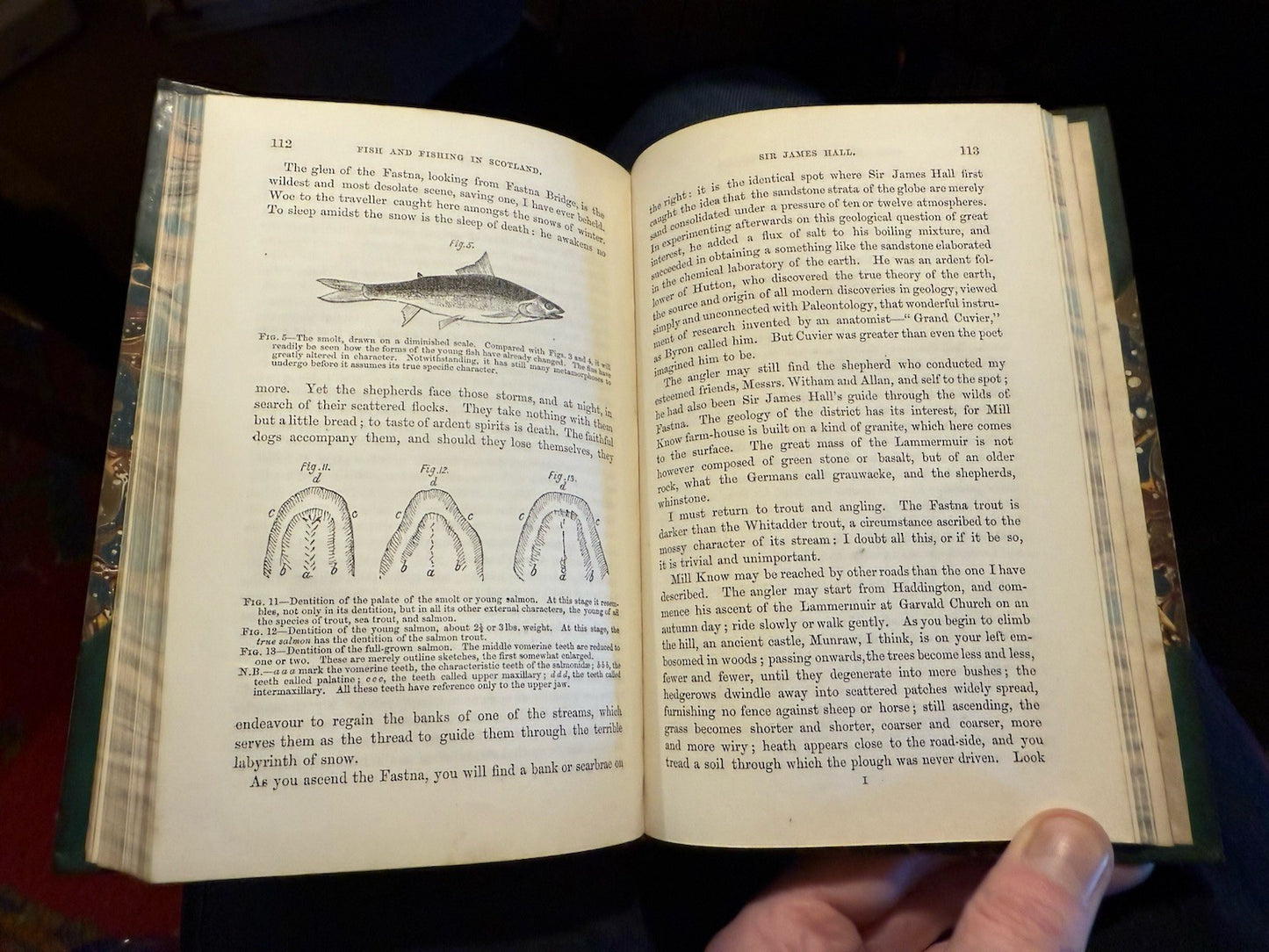 1854 Fish and Fishing in the Lone Glens of Scotland : Dr. Knox