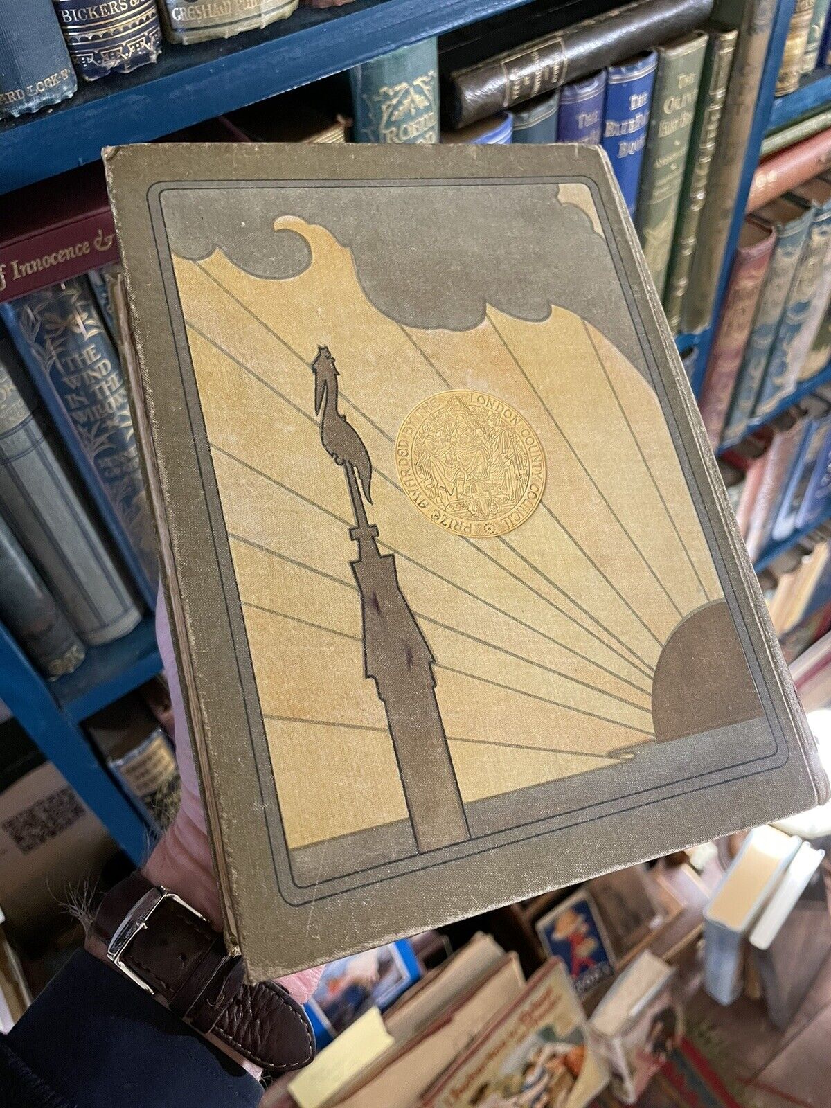 1905 Andersen's Fairy Tales and Other Stories : Illustrated Leather Binding