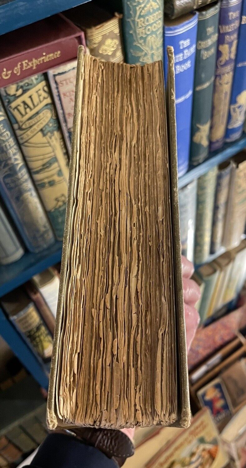 1905 Andersen's Fairy Tales and Other Stories : Illustrated Leather Binding