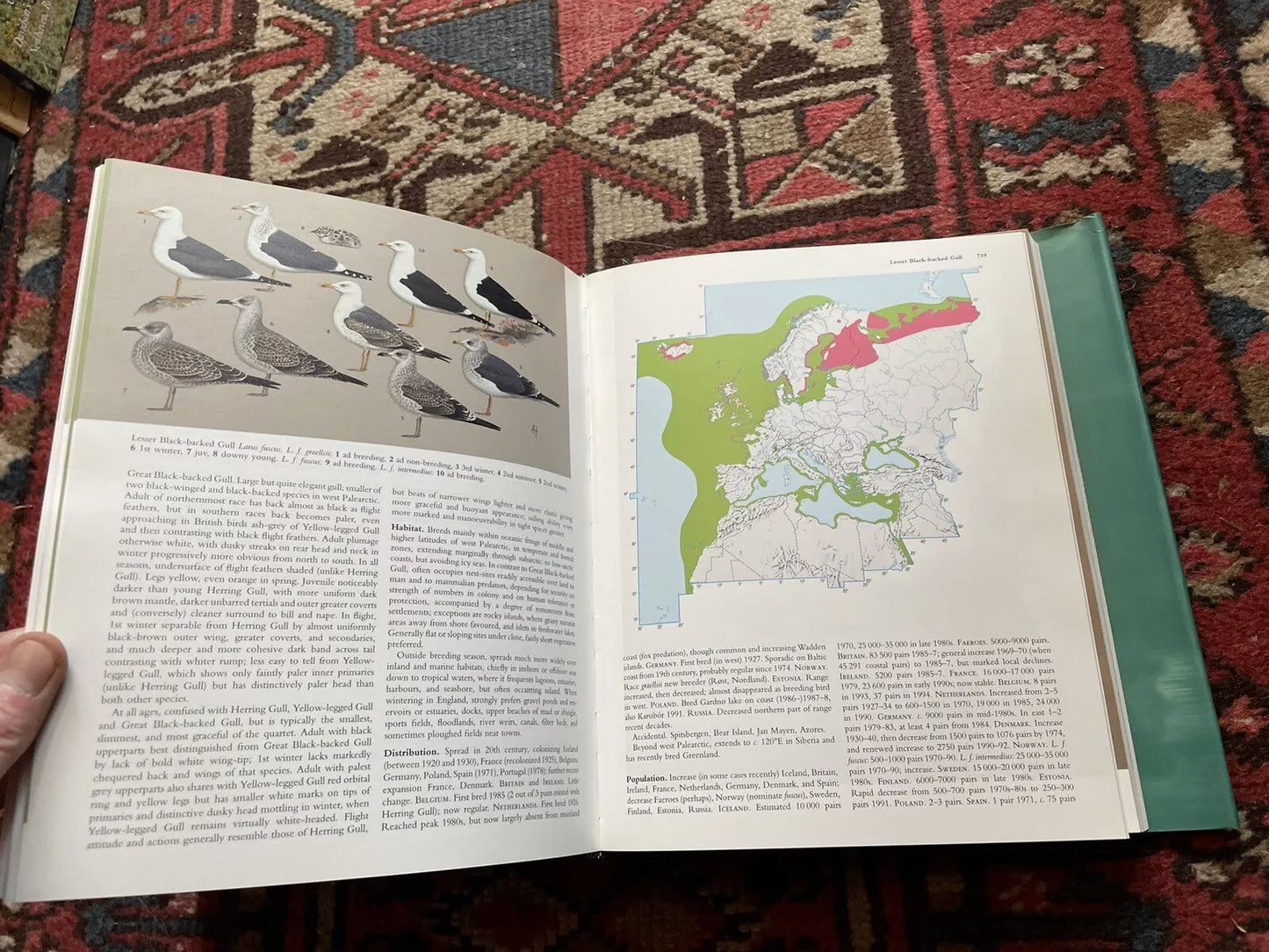 1998 The BIRDS of the WESTERN PALEARCTIC Concise Edition (2 Vols)