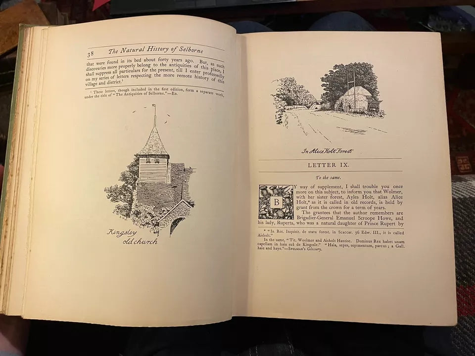 1900 Gilbert White : Natural History of Selborne : Illus by Edmund H. New