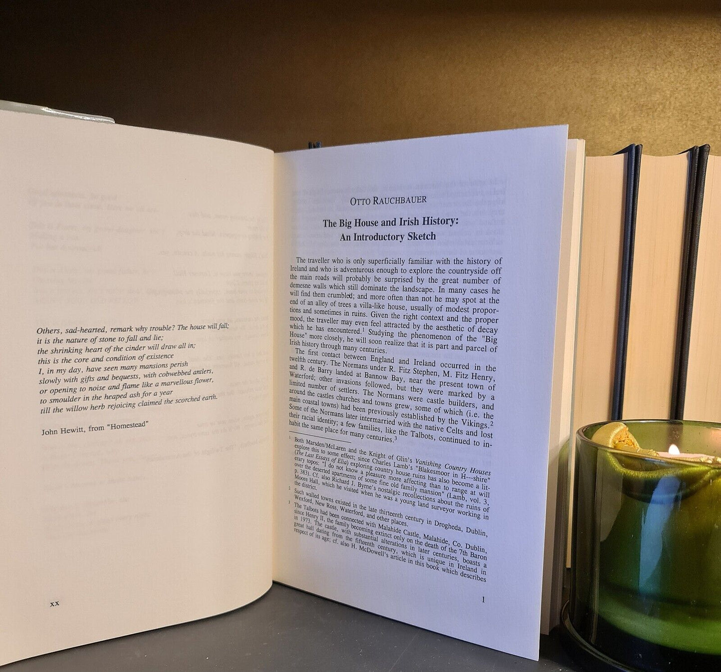 Ancestral Voices, O. Rauchbauer: Hardback: 1st Edition: Anglo-Irish Culture