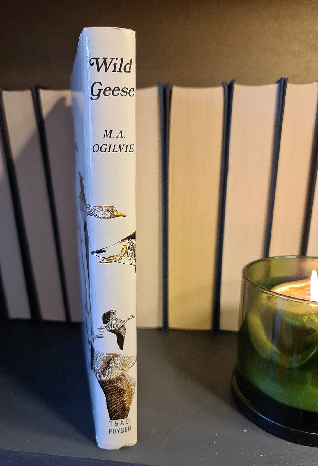 Wild Geese, M. Ogilvie: Hardback: 1st Edition: Migration: Wildfowl: Ornithology