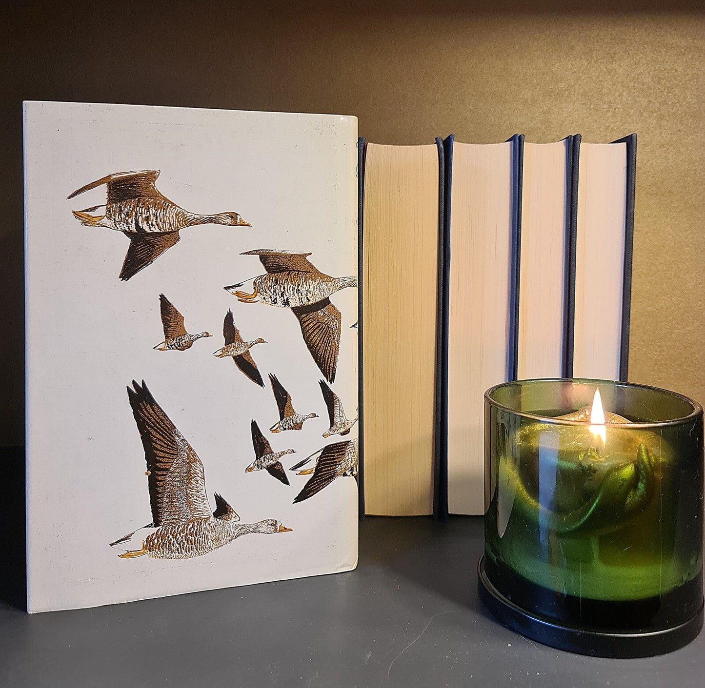 Wild Geese, M. Ogilvie: Hardback: 1st Edition: Migration: Wildfowl: Ornithology