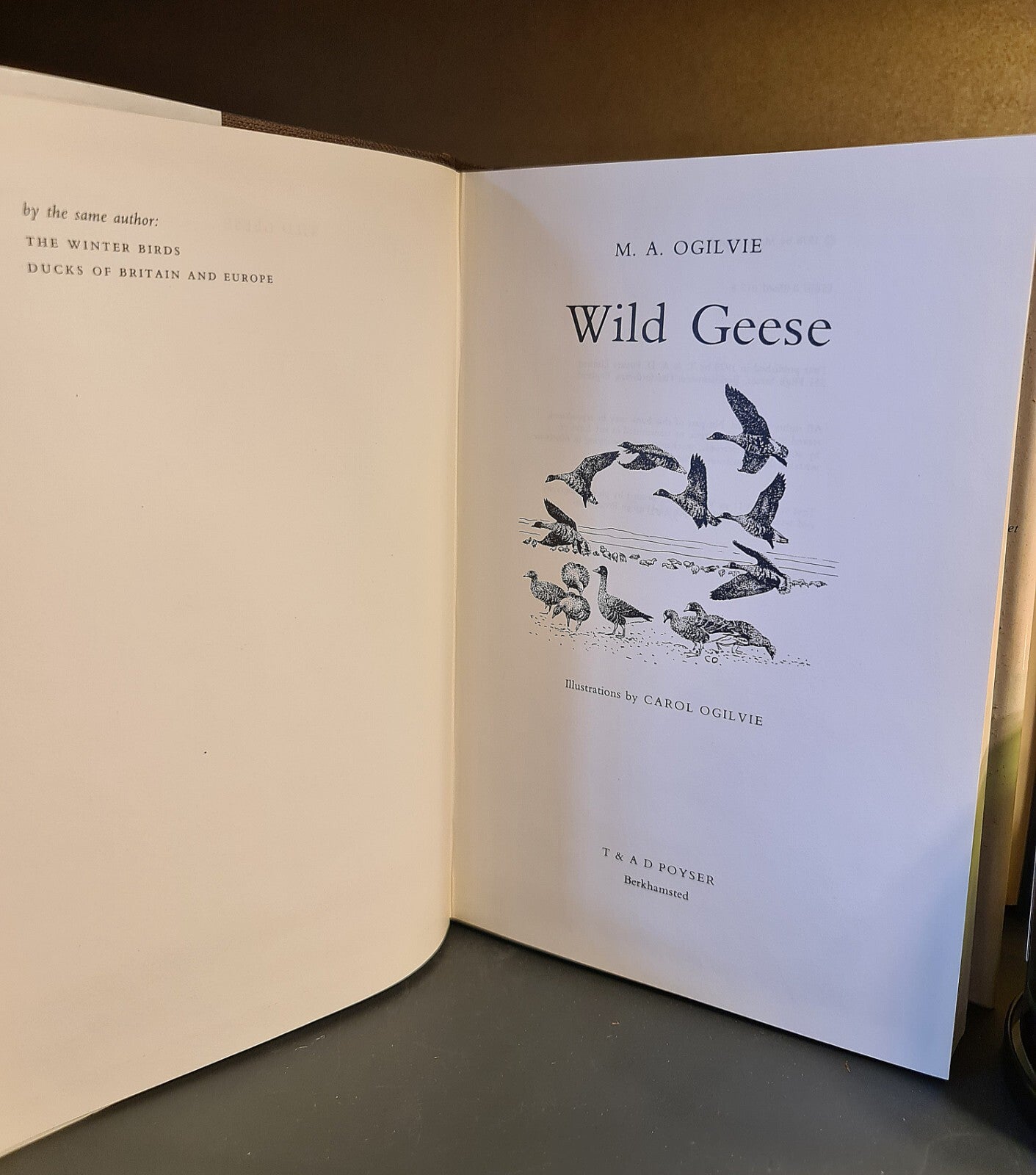 Wild Geese, M. Ogilvie: Hardback: 1st Edition: Migration: Wildfowl: Ornithology