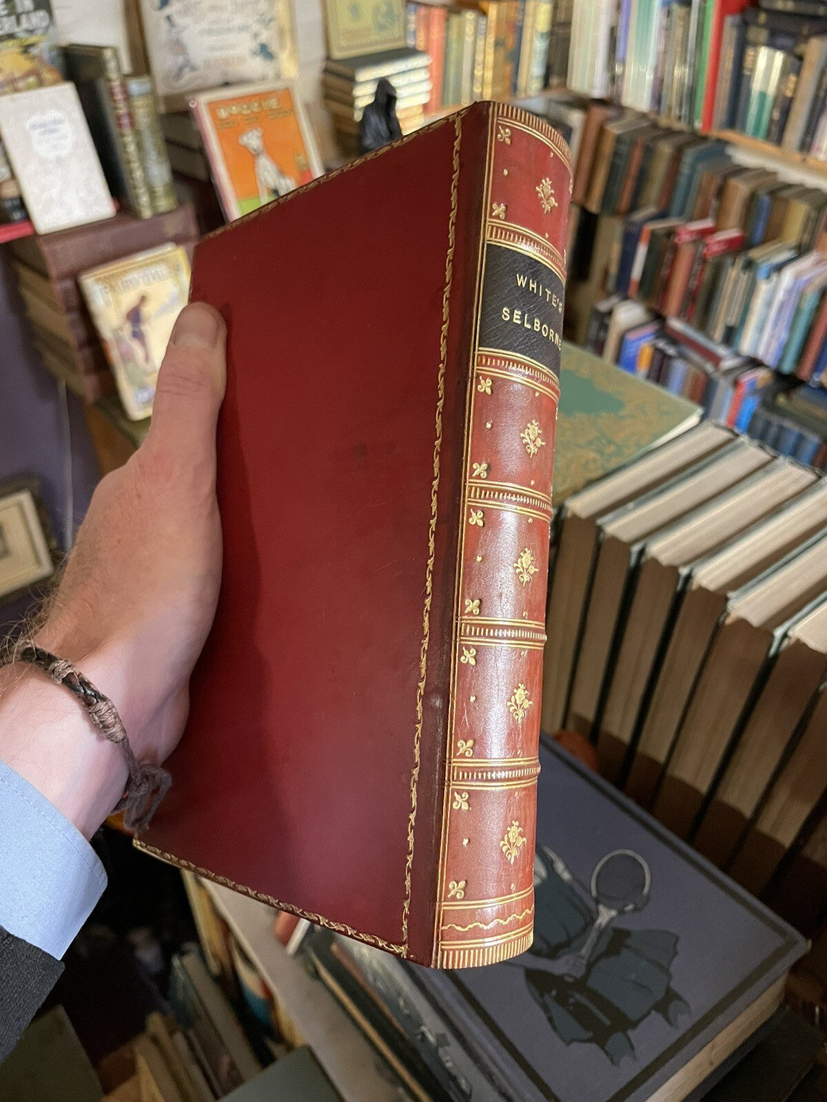 1905 Gilbert White : Natural History & Antiquities of Selborne : Smart Leather