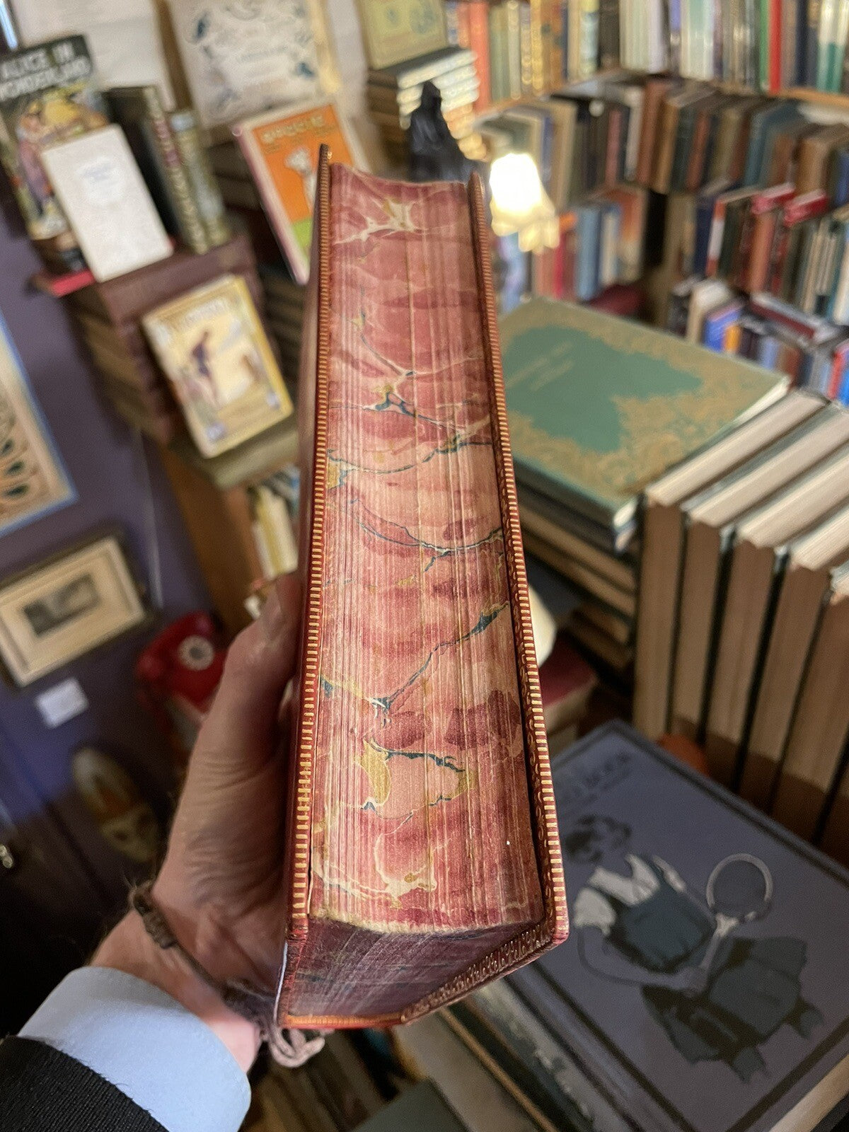 1905 Gilbert White : Natural History & Antiquities of Selborne : Smart Leather