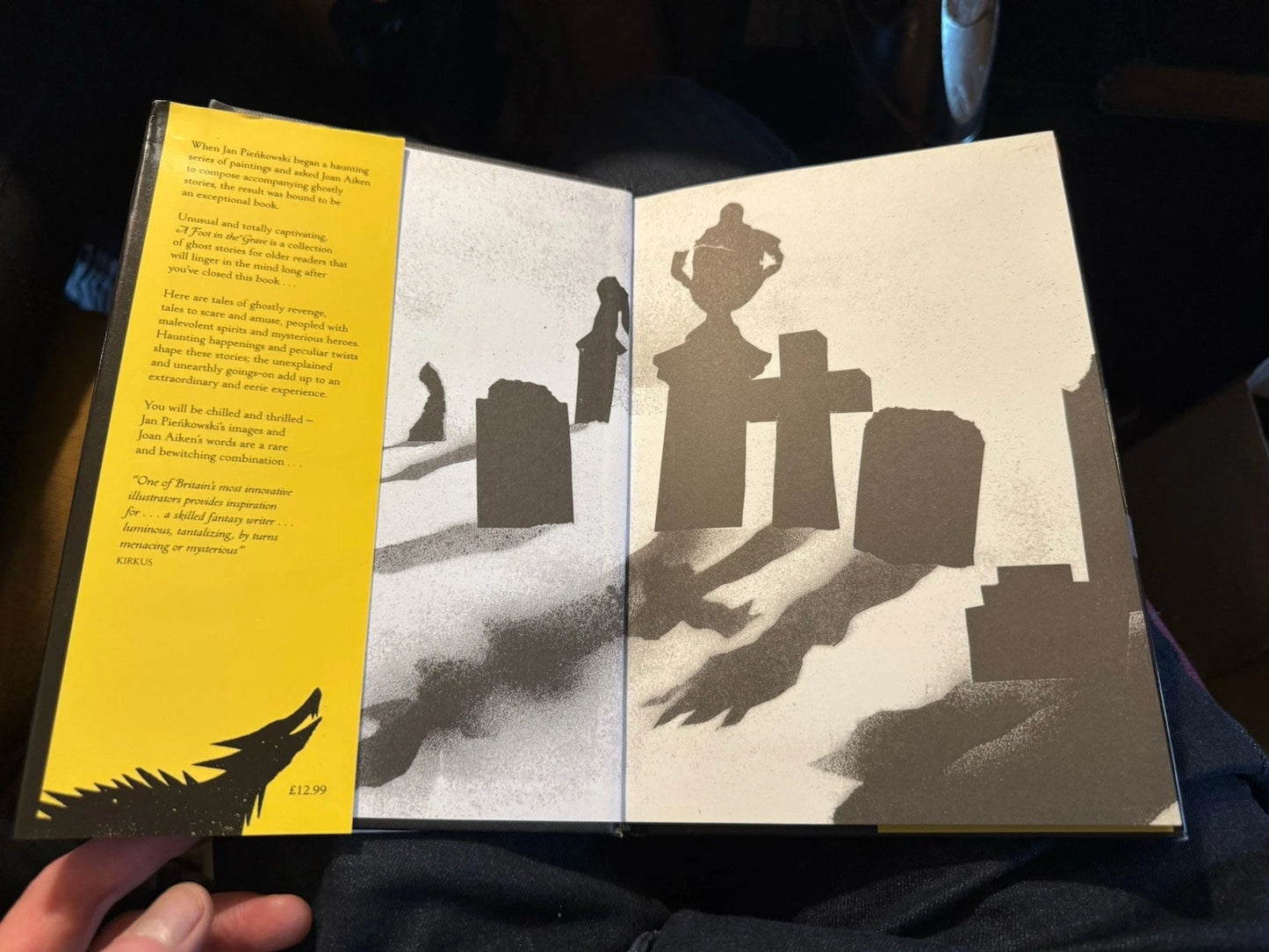 2013 A Foot in the Grave & Other Ghost Stories : Joan Aiken : Illustrated