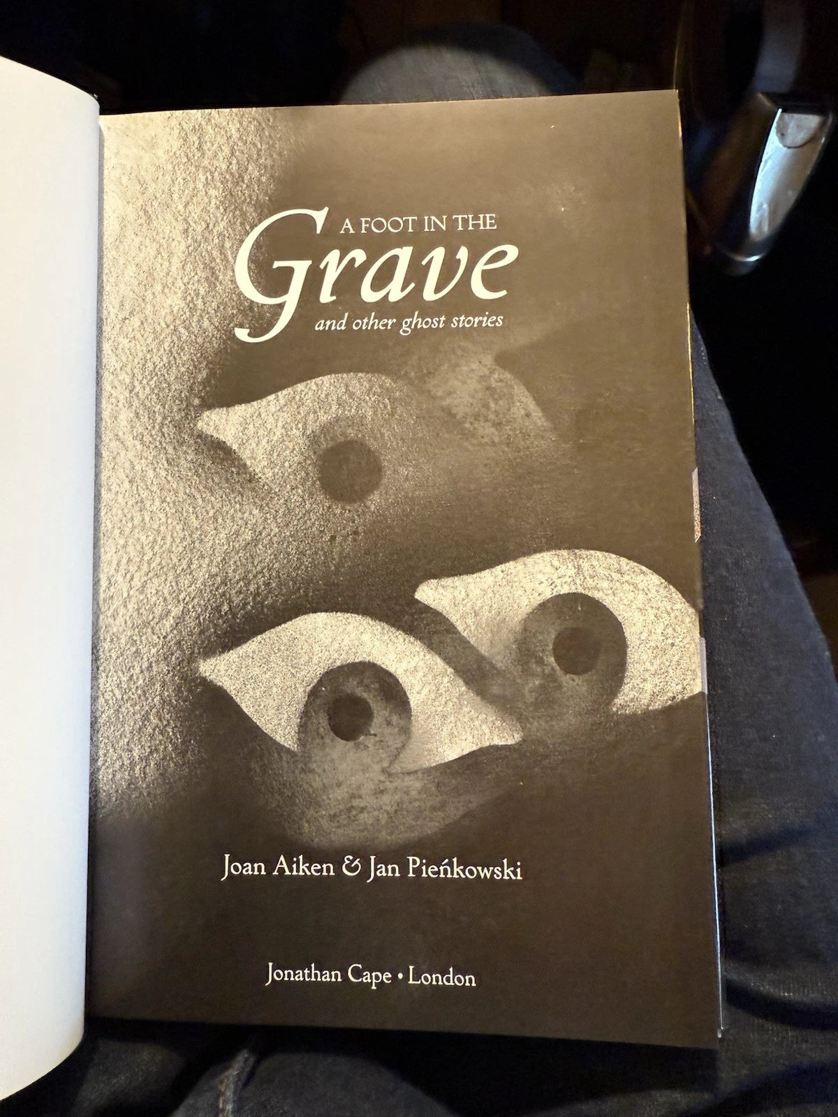 2013 A Foot in the Grave & Other Ghost Stories : Joan Aiken : Illustrated