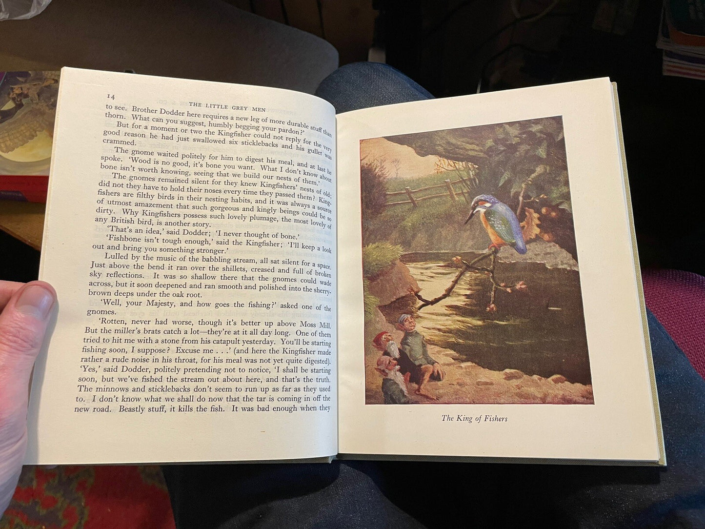 1946 The Grey Men by 'BB' : Denys Watkins-Pitchford : In Original Dust Jacket