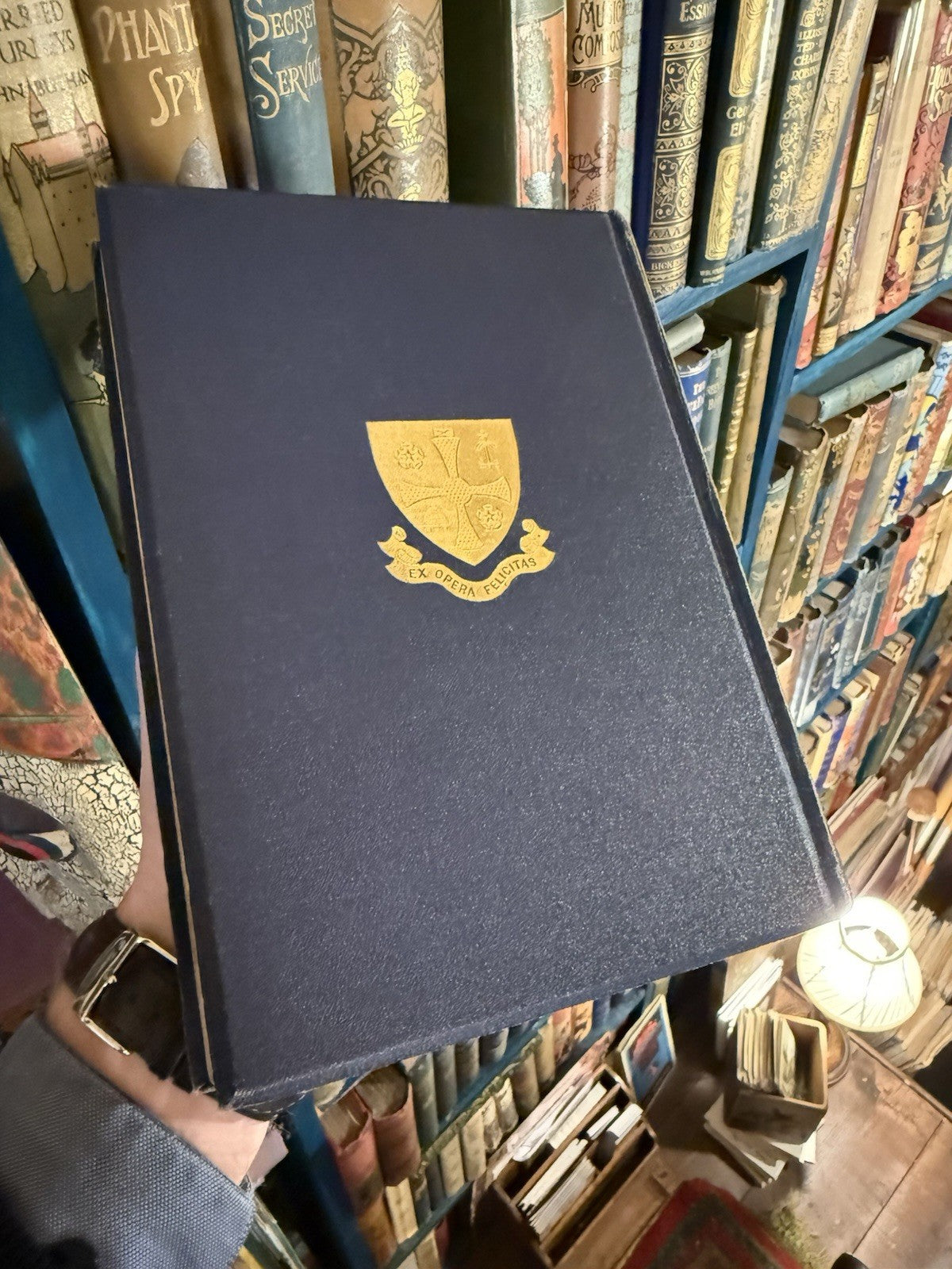 1910 Gulliver's Travels : Jonathan Swift : Illustrated : Adapted for the Young