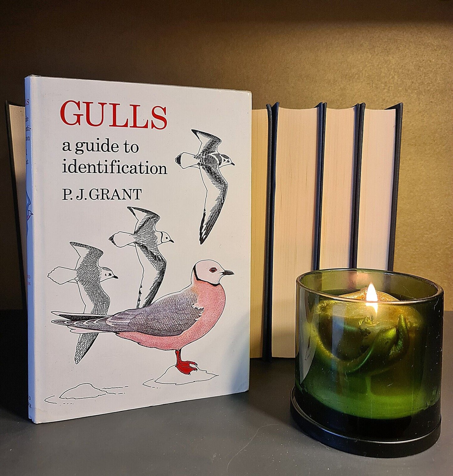 Gulls: A Guide to Identification, P.J. Grant: Signed: Hardback: Second Edition
