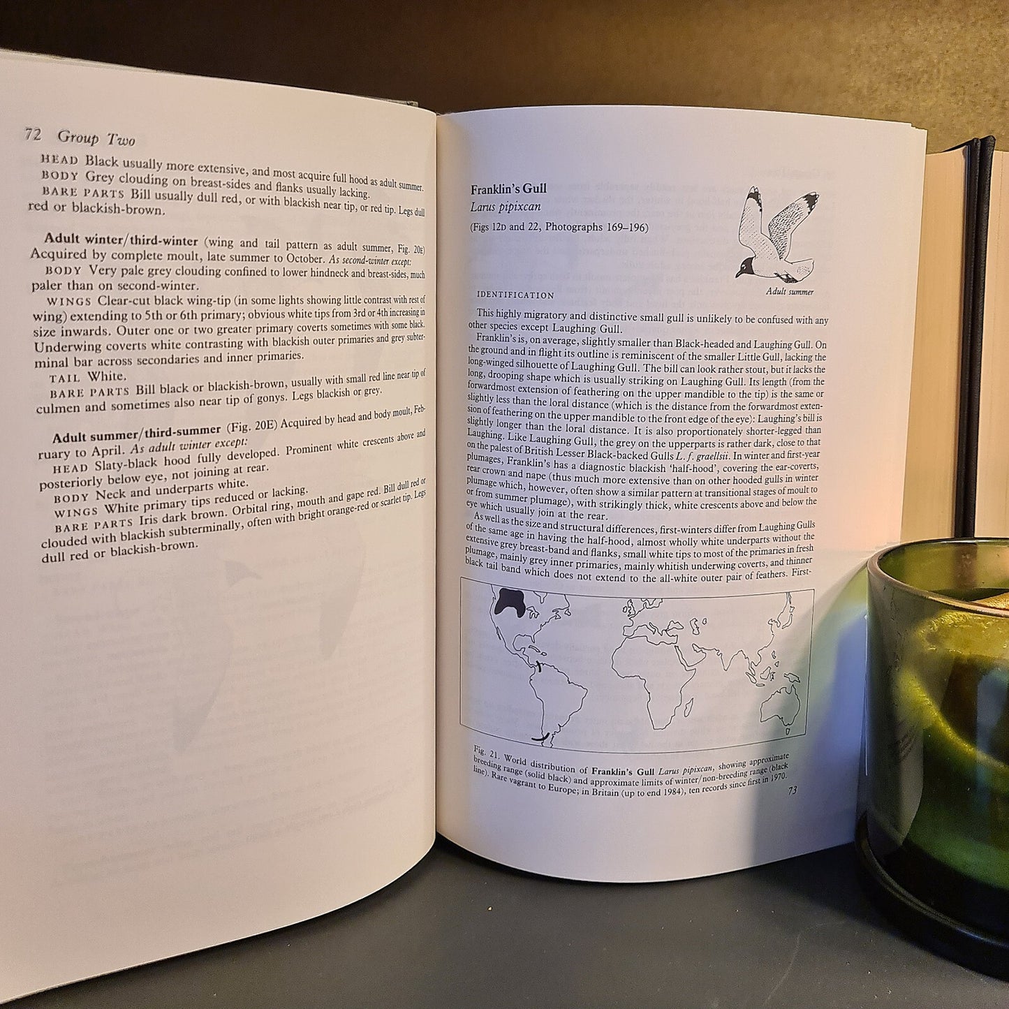 Gulls: A Guide to Identification, P.J. Grant: Signed: Hardback: Second Edition