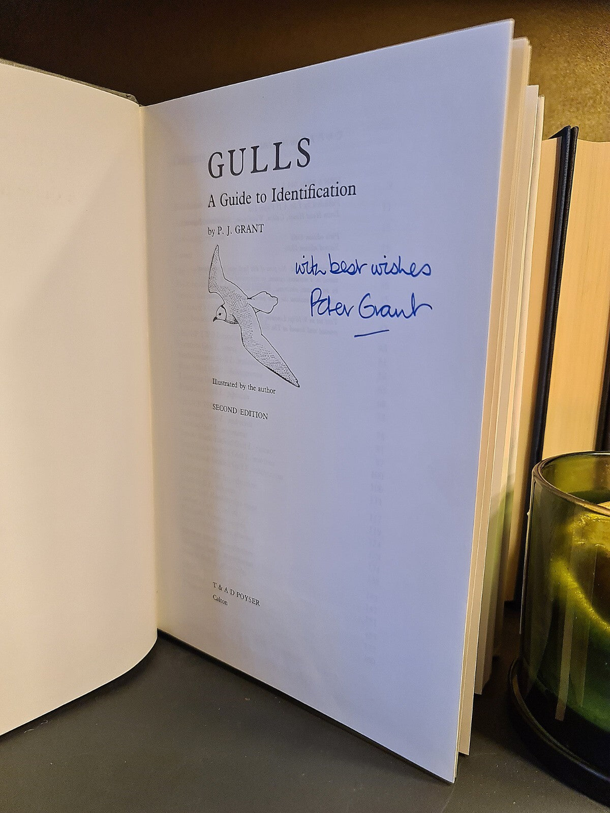 Gulls: A Guide to Identification, P.J. Grant: Signed: Hardback: Second Edition