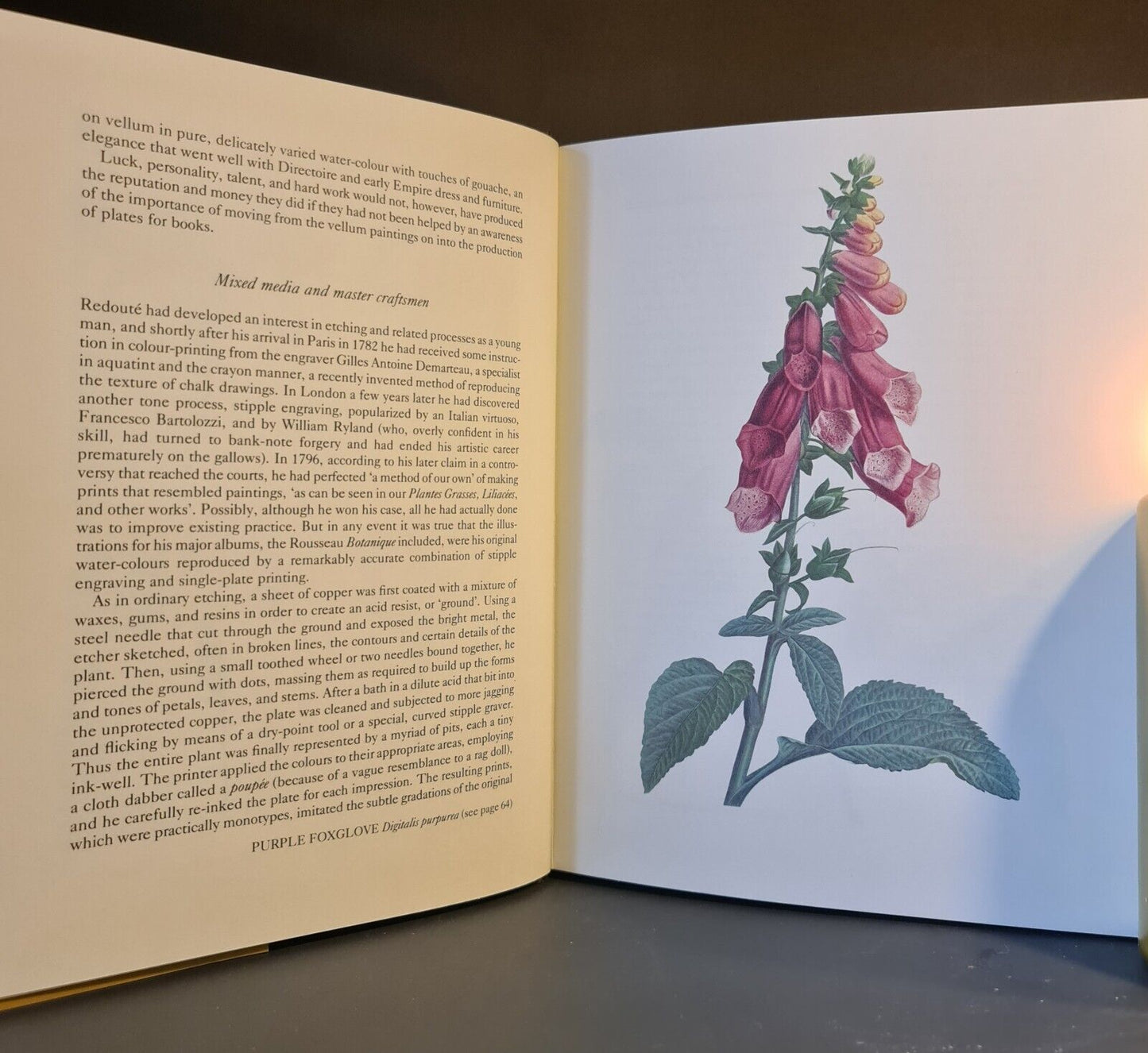 Pure Curiosity - Botanical Letters, JJ Rosseau: Hardback: 1st Edition: Botany