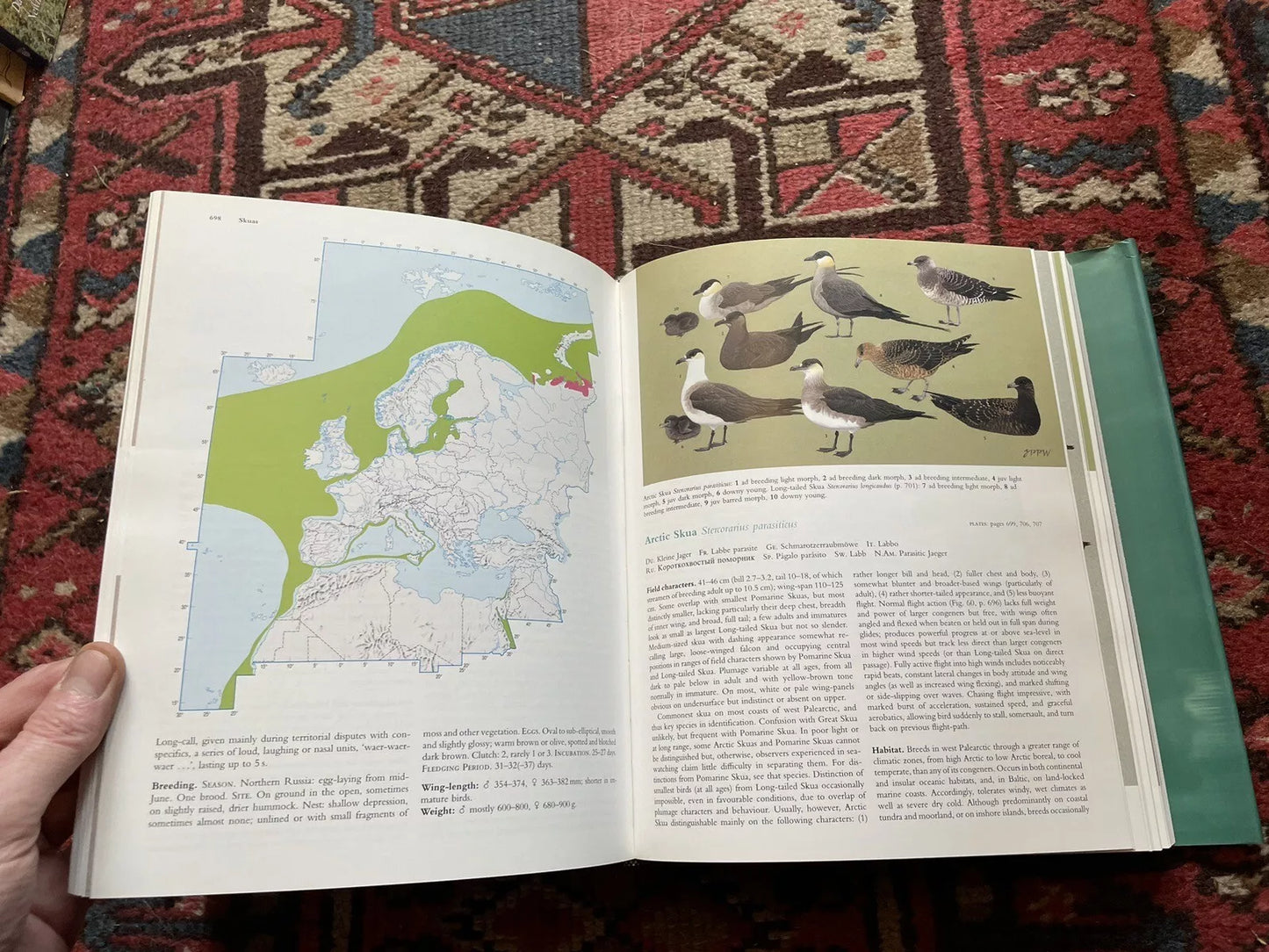 1998 The BIRDS of the WESTERN PALEARCTIC Concise Edition (2 Vols)