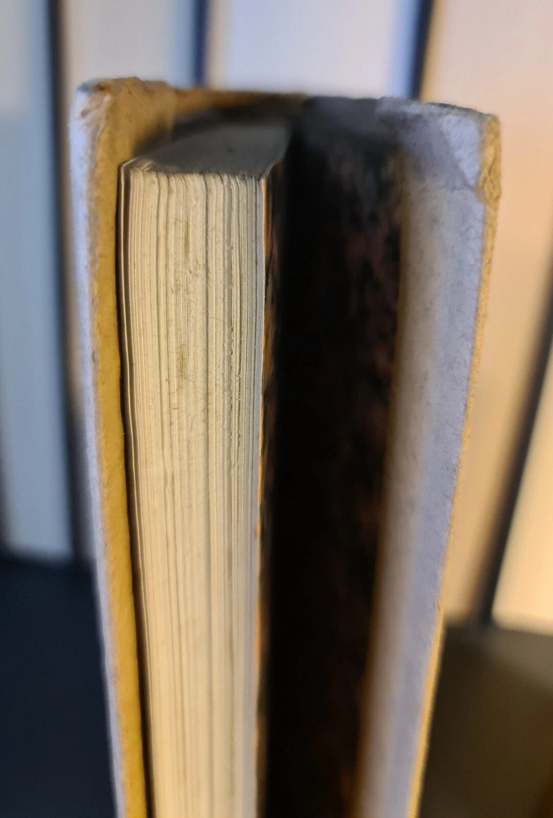 The Holiday Round, A. A. Milne: Minerva Editions: Hardback