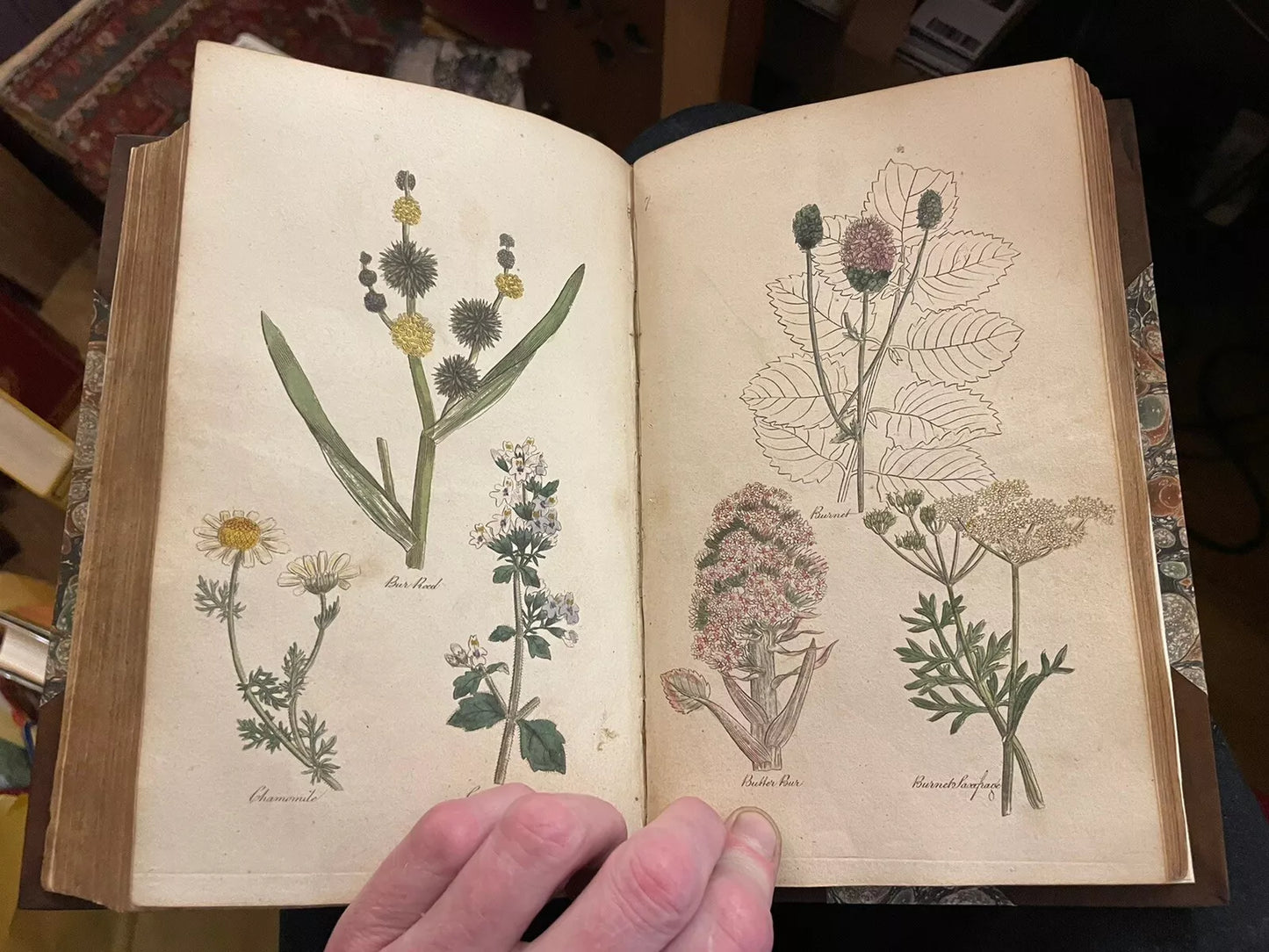 The Family Herbal : John Hill : Fine Binding : 1st ed : 54 colour plates : 1810