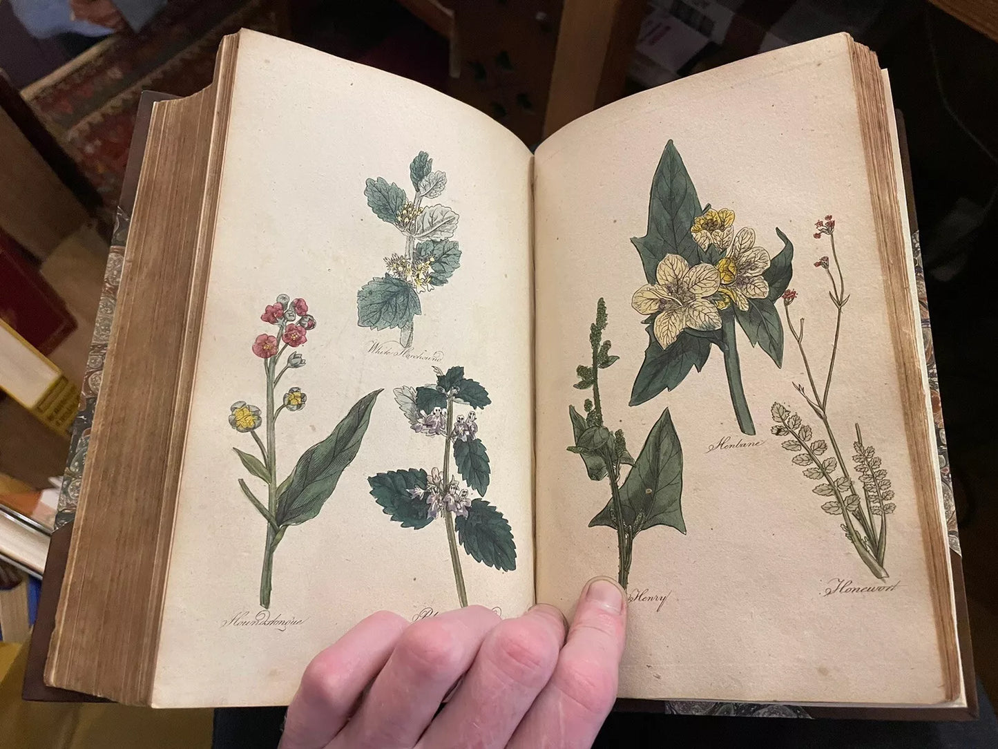 The Family Herbal : John Hill : Fine Binding : 1st ed : 54 colour plates : 1810