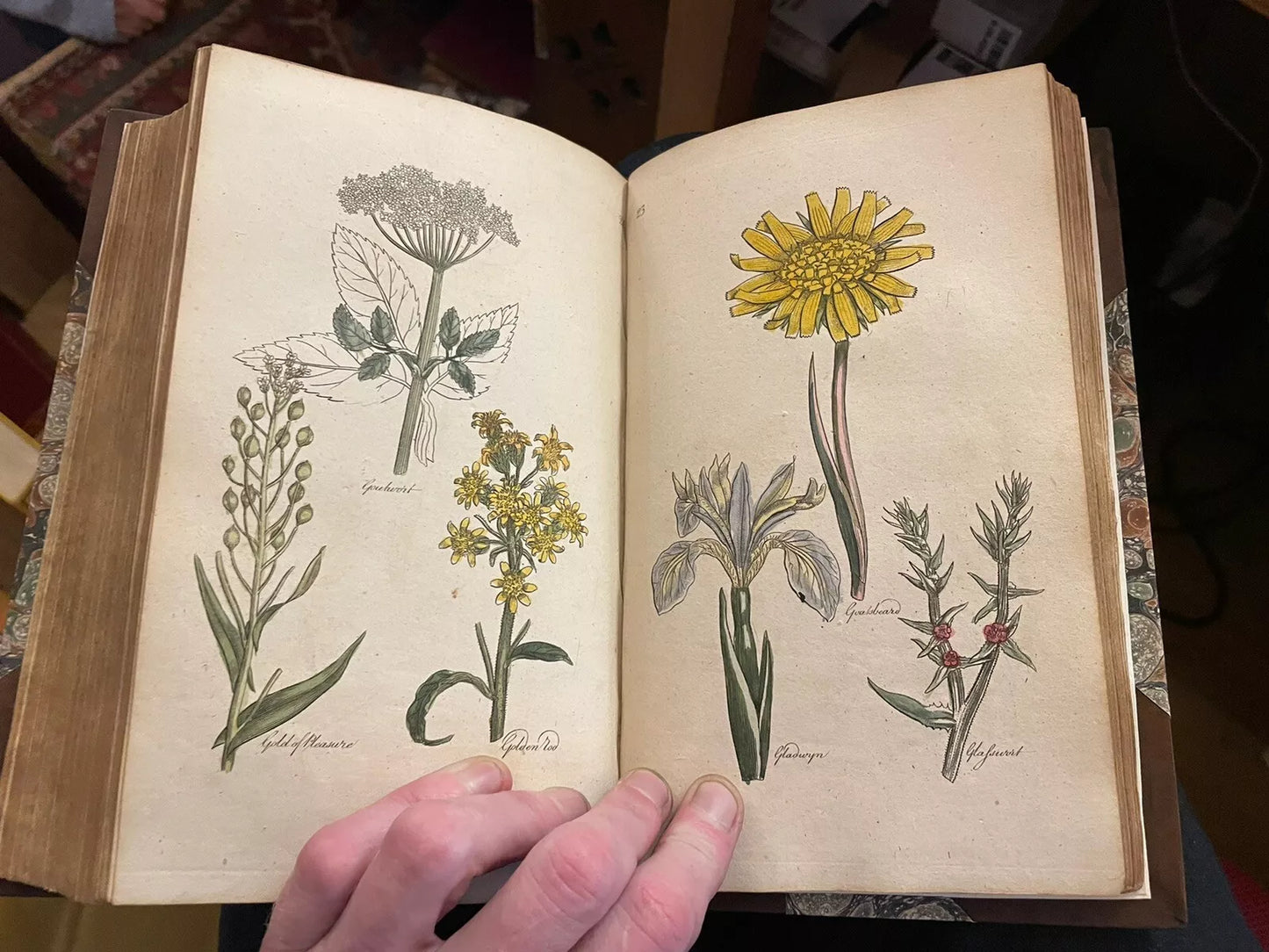 The Family Herbal : John Hill : Fine Binding : 1st ed : 54 colour plates : 1810