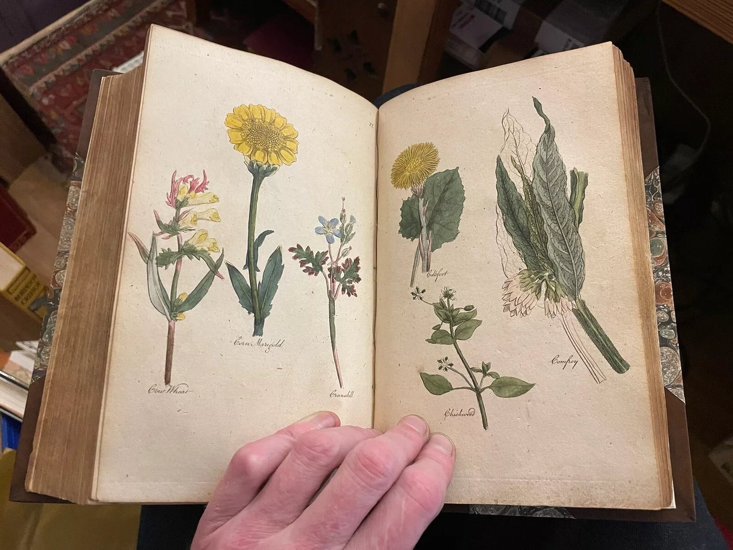 The Family Herbal : John Hill : Fine Binding : 1st ed : 54 colour plates : 1810