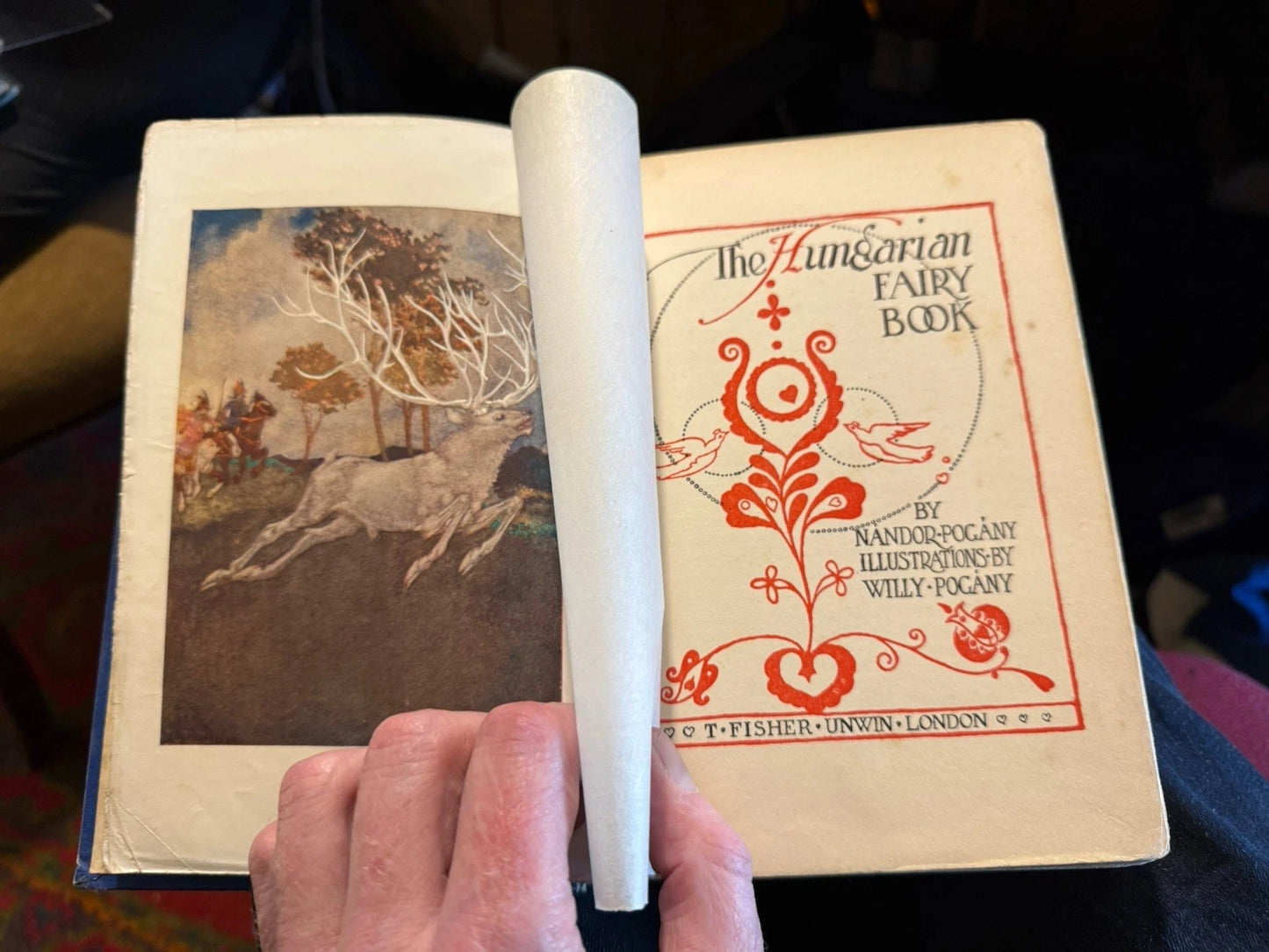 1913 The Hungarian Fairy Book : Nandor & Willy Pogany : Fairy Folk Tales