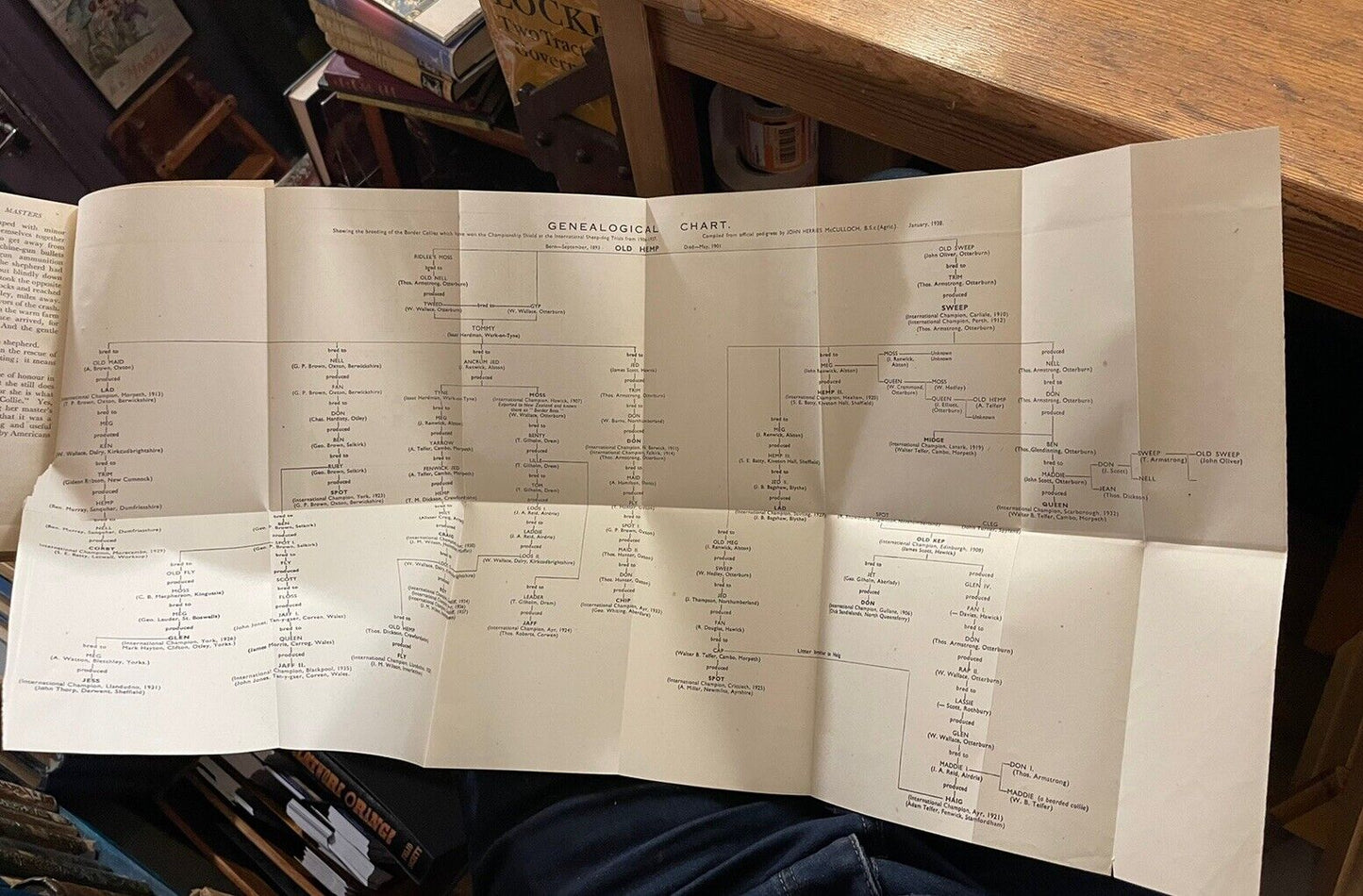 Sheep Dogs : McCulloch : Border Collies : Genealogical Breeding Chart 1946