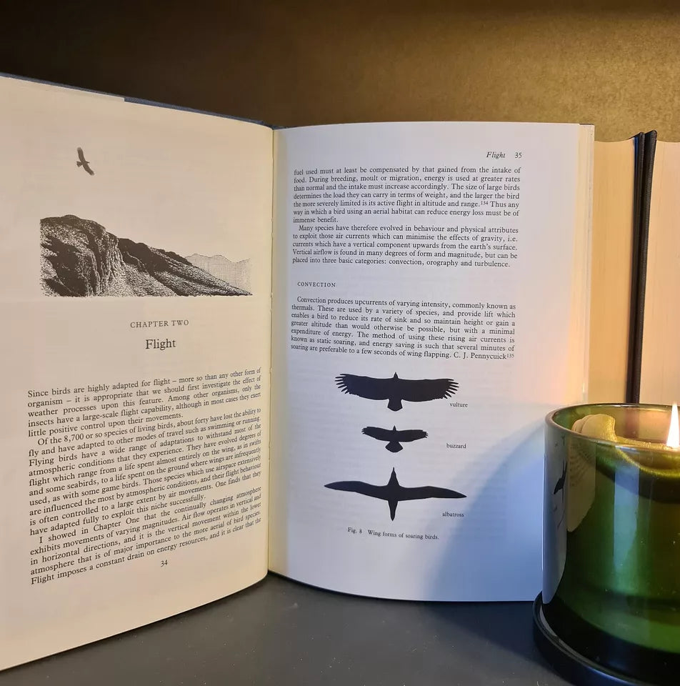 Weather & Bird Behaviour, N. Elkins: Hardback: Signed: 1st Ed: Ornithology