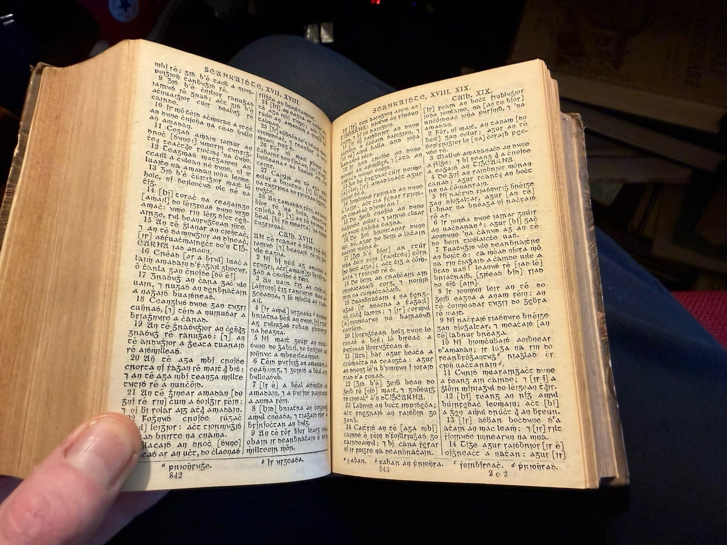 1830 IRISH BIBLE : Leabhuir an tSean Tiomna; Translated by William Bedell