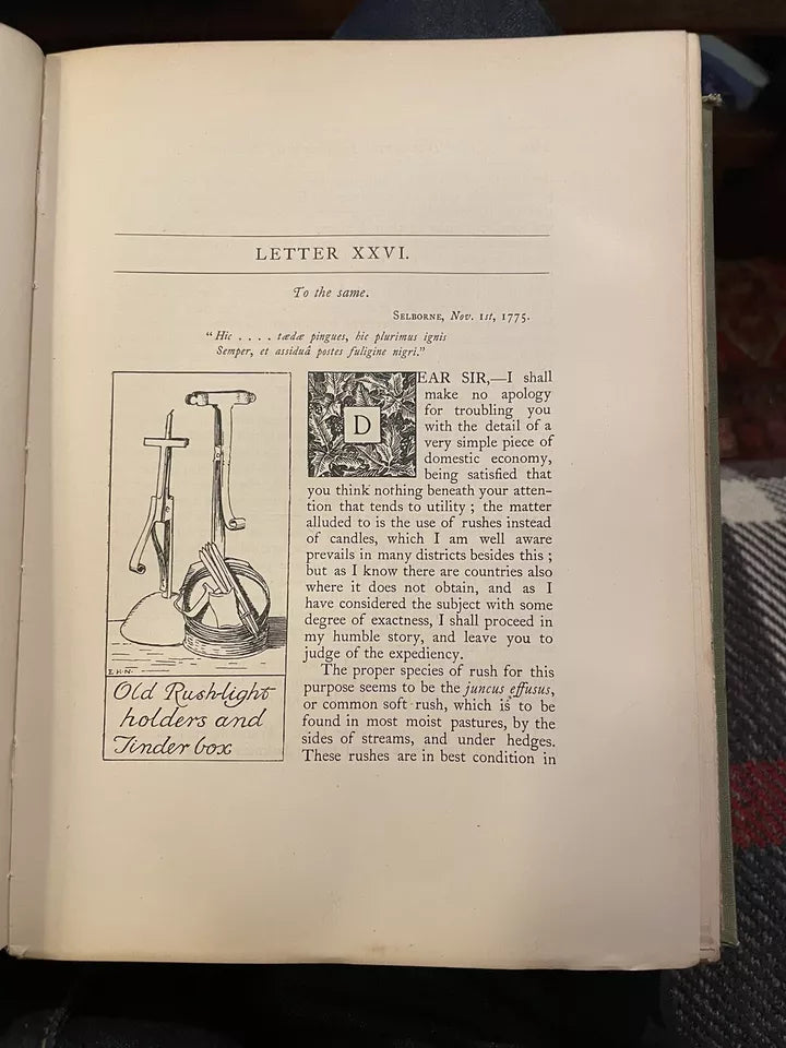 1900 Gilbert White : Natural History of Selborne : Illus by Edmund H. New