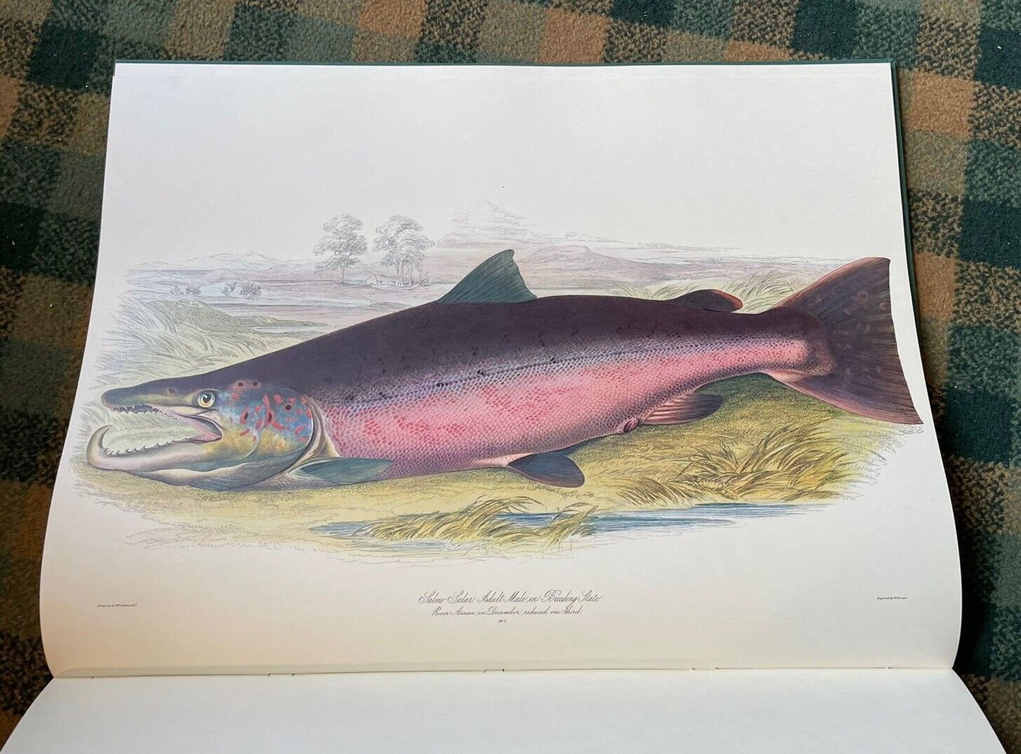 Sir W. Jardine : British Salmonidae : Ltd Edition 1979 : Huge Book : Salmon
