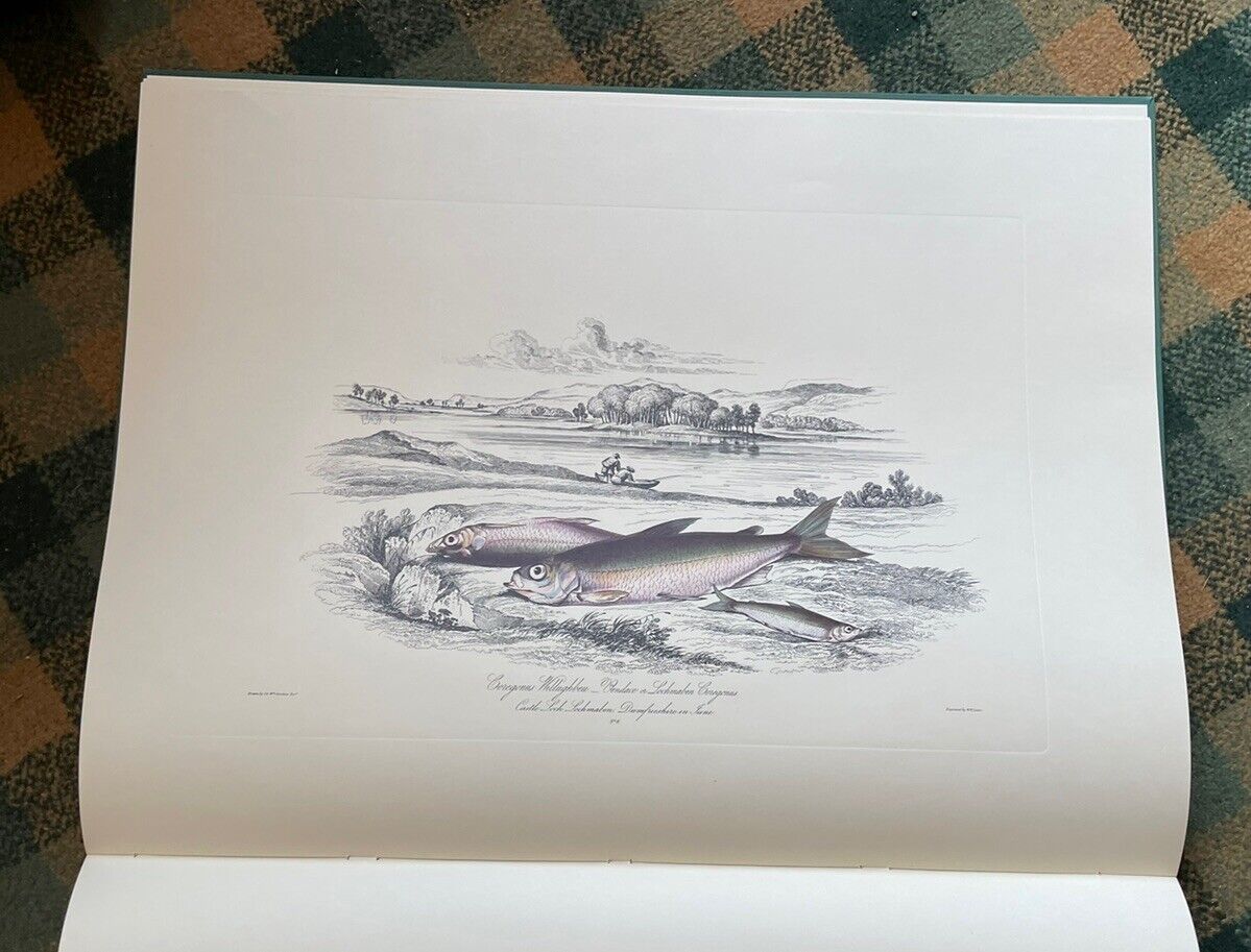 Sir W. Jardine : British Salmonidae : Ltd Edition 1979 : Huge Book : Salmon