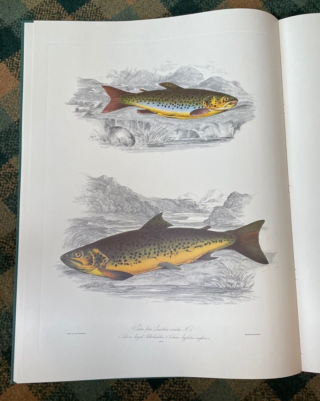 Sir W. Jardine : British Salmonidae : Ltd Edition 1979 : Huge Book : Salmon
