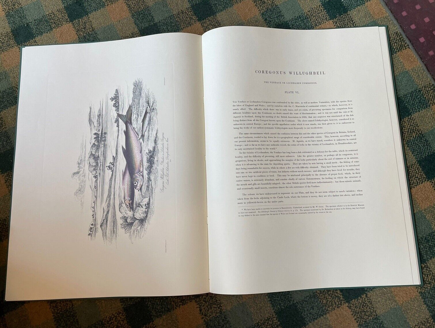 Sir W. Jardine : British Salmonidae : Ltd Edition 1979 : Huge Book : Salmon