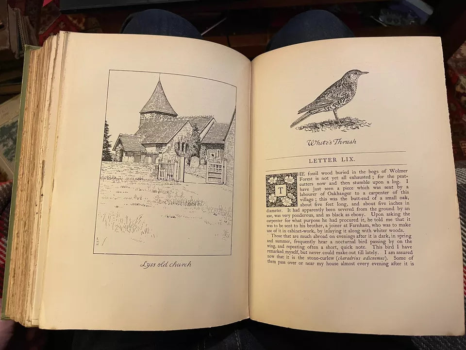 1900 Gilbert White : Natural History of Selborne : Illus by Edmund H. New