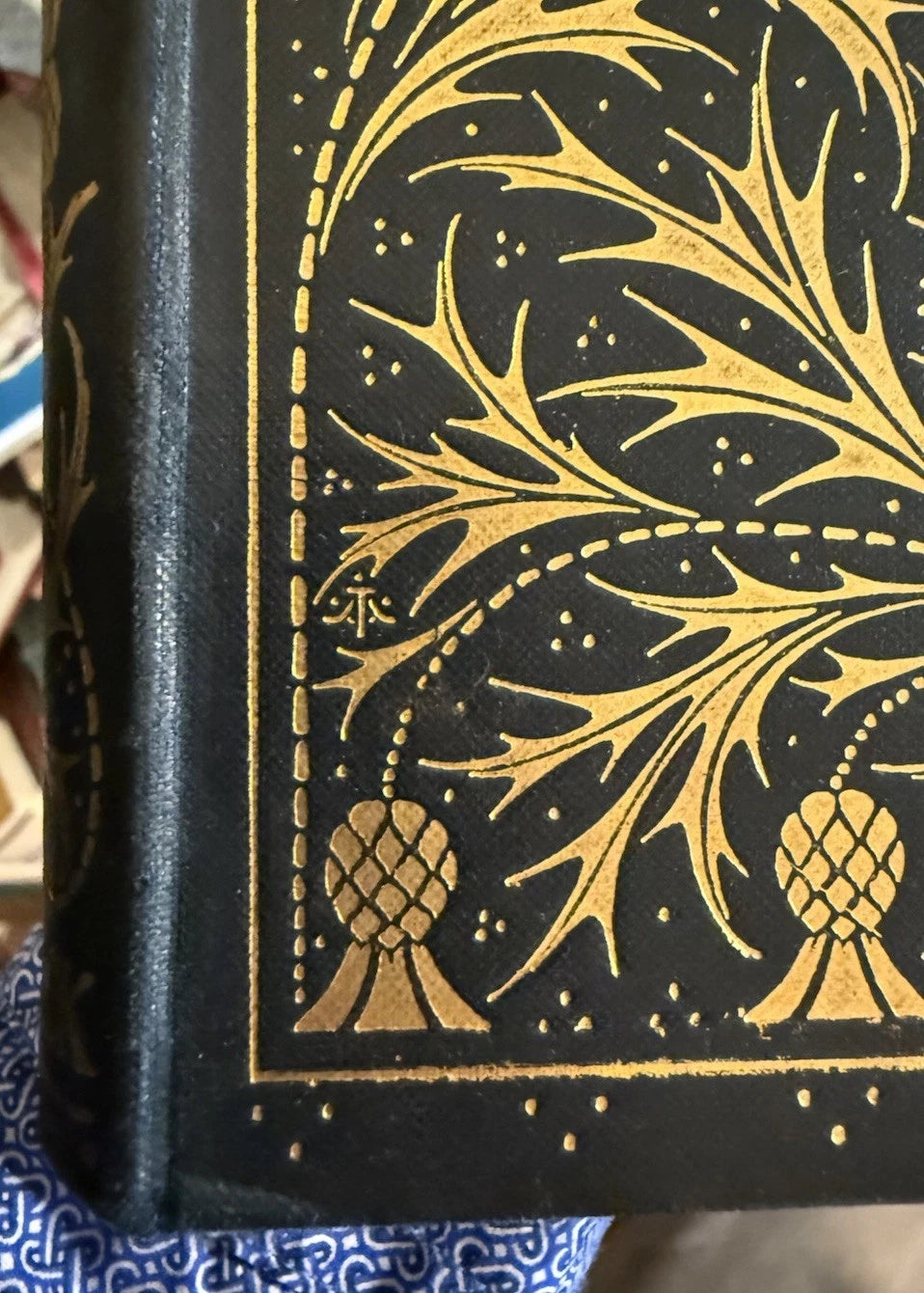 Sir Walter Scott : The Lady of the Lake : Stunning Turbayne Binding 1891