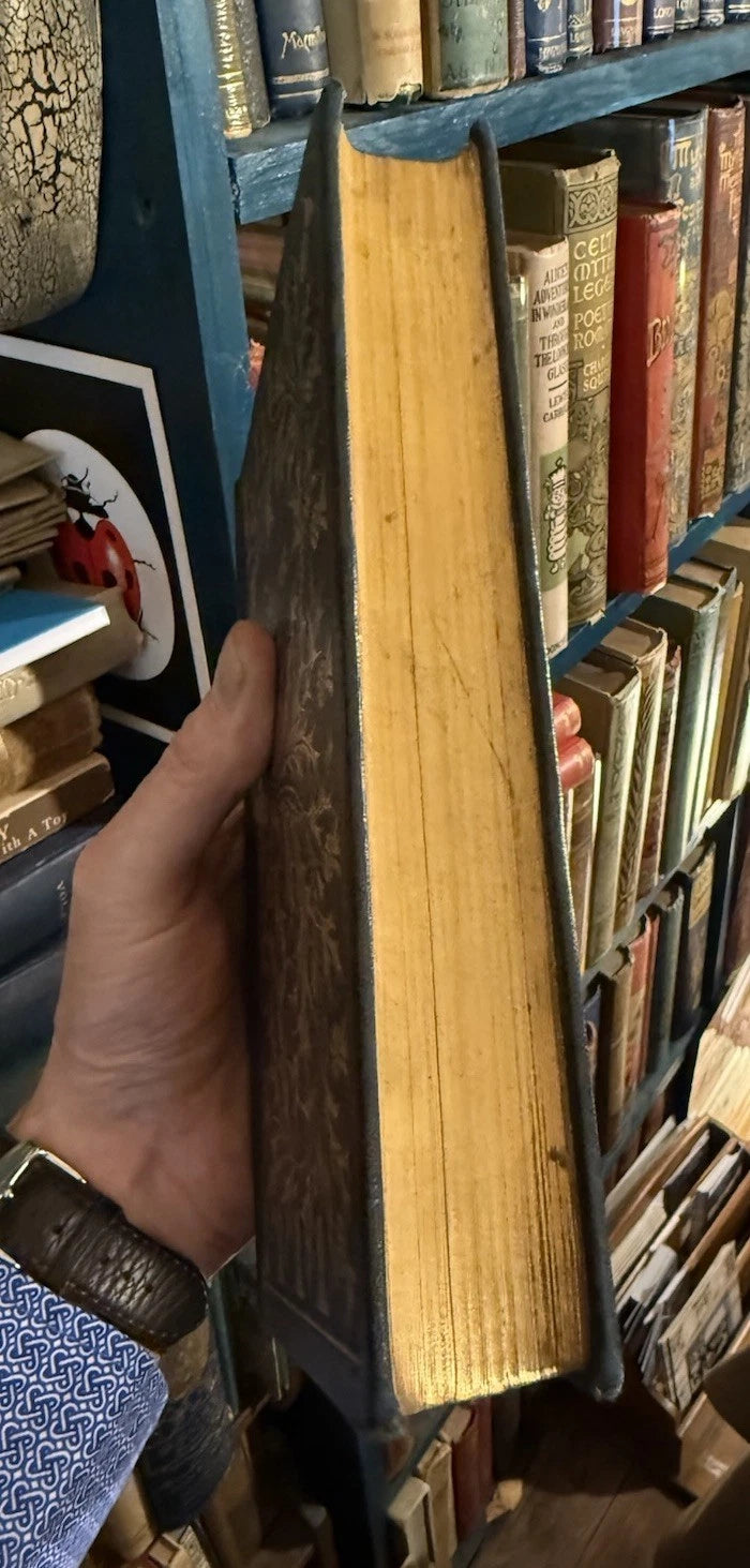 Sir Walter Scott : The Lady of the Lake : Stunning Turbayne Binding 1891