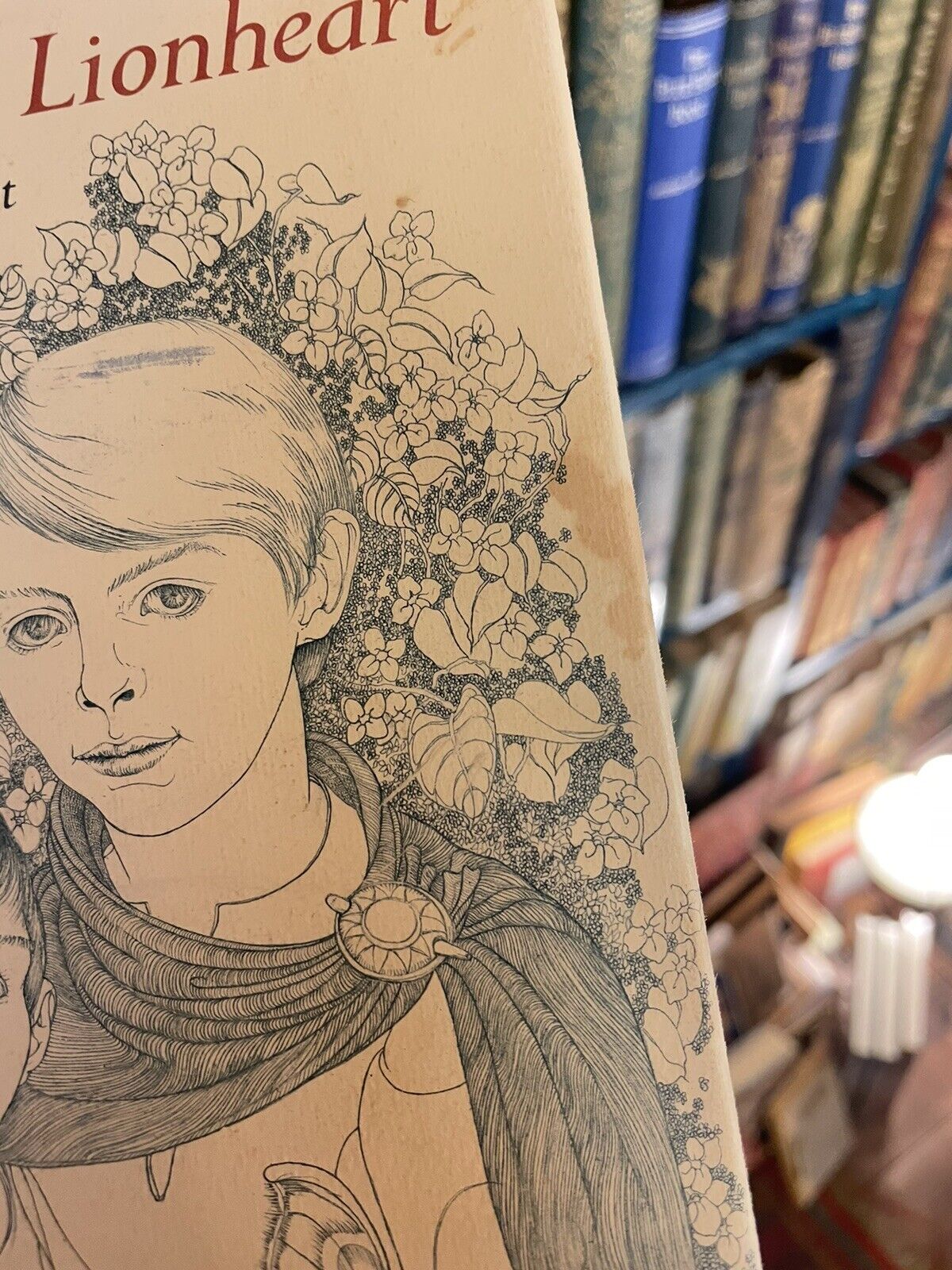 The Brothers Lionheart (Fantasy) Astrid Lindgren : 1st US Edition 1975