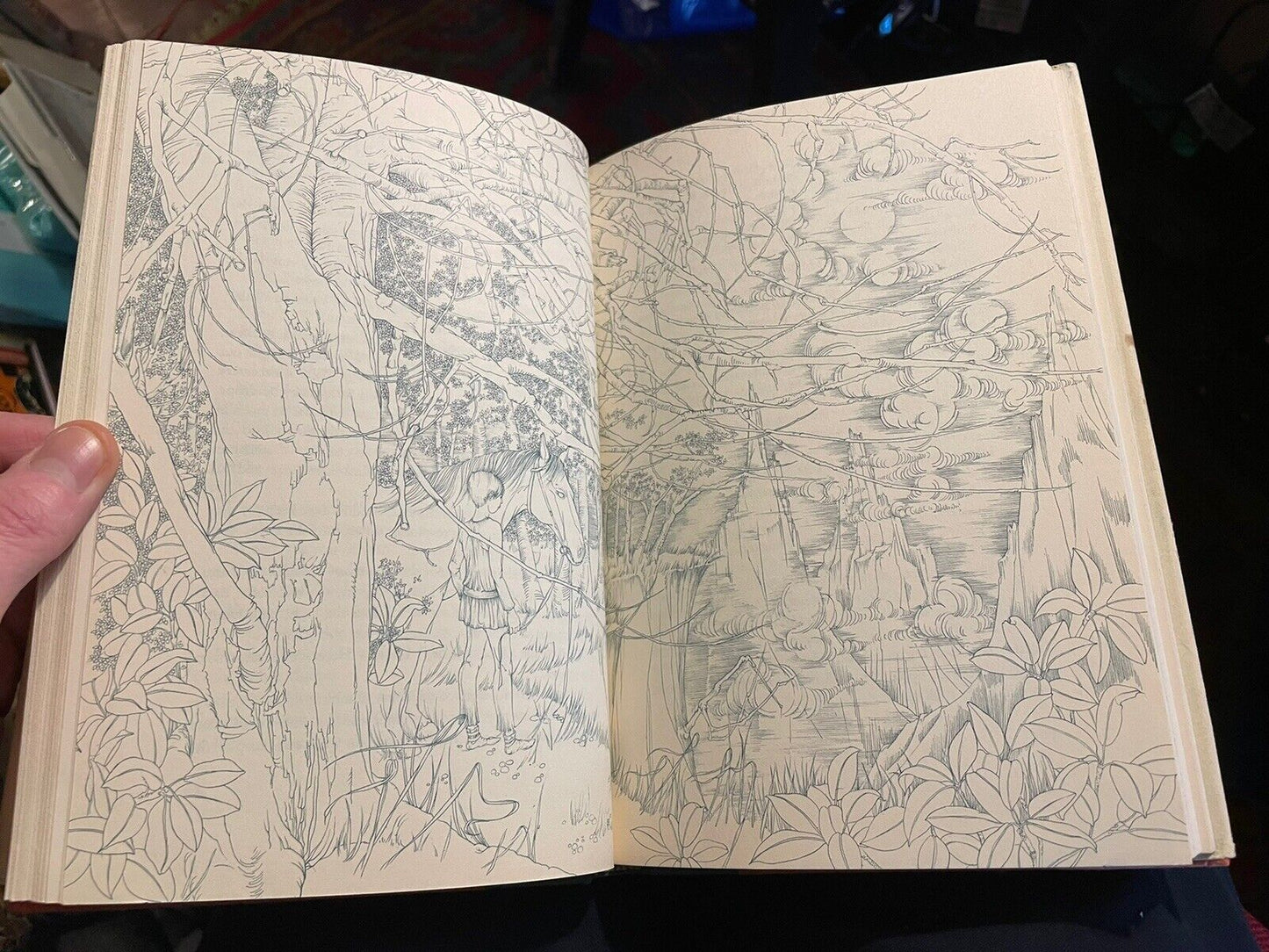 The Brothers Lionheart (Fantasy) Astrid Lindgren : 1st US Edition 1975