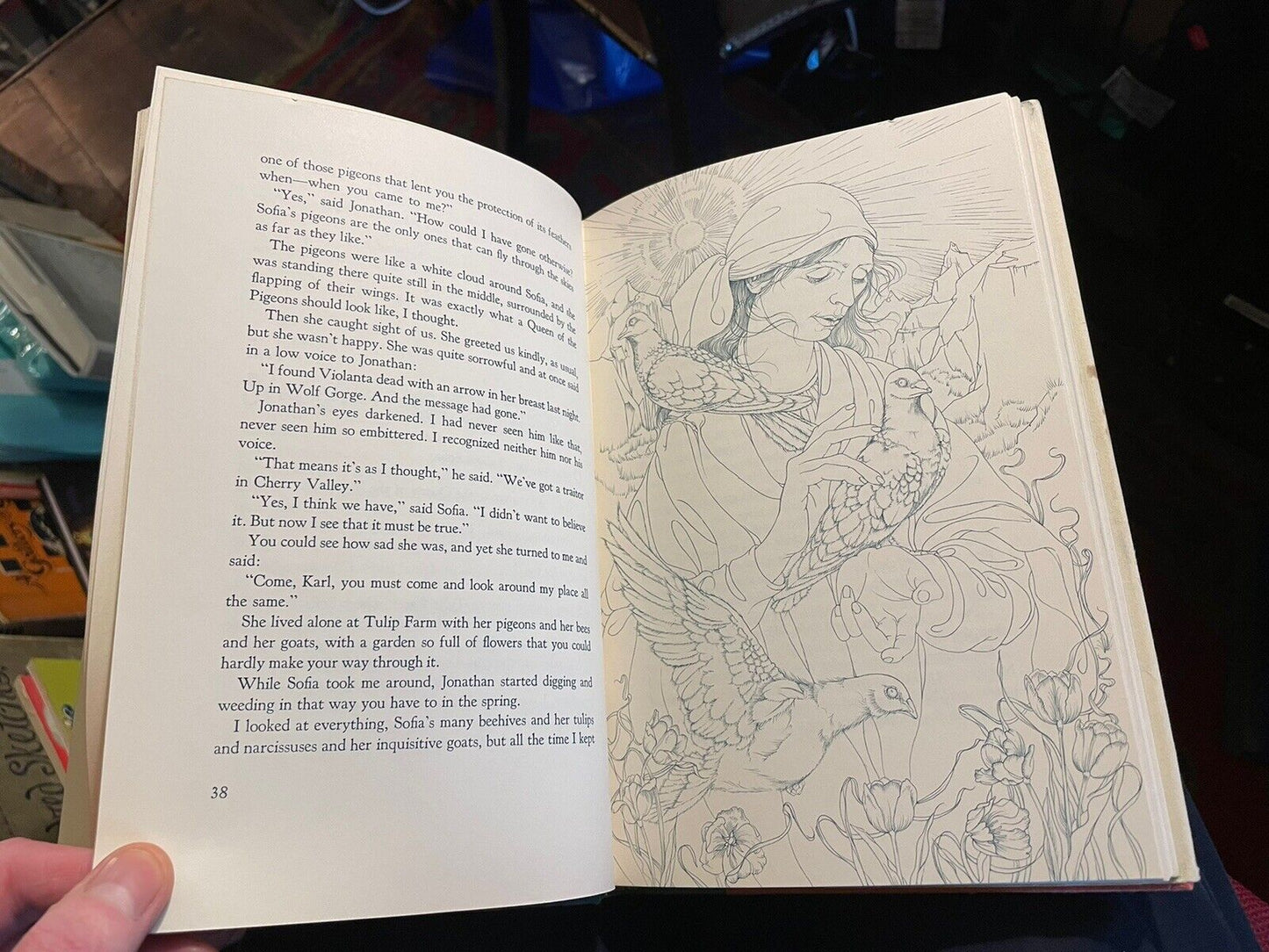 The Brothers Lionheart (Fantasy) Astrid Lindgren : 1st US Edition 1975