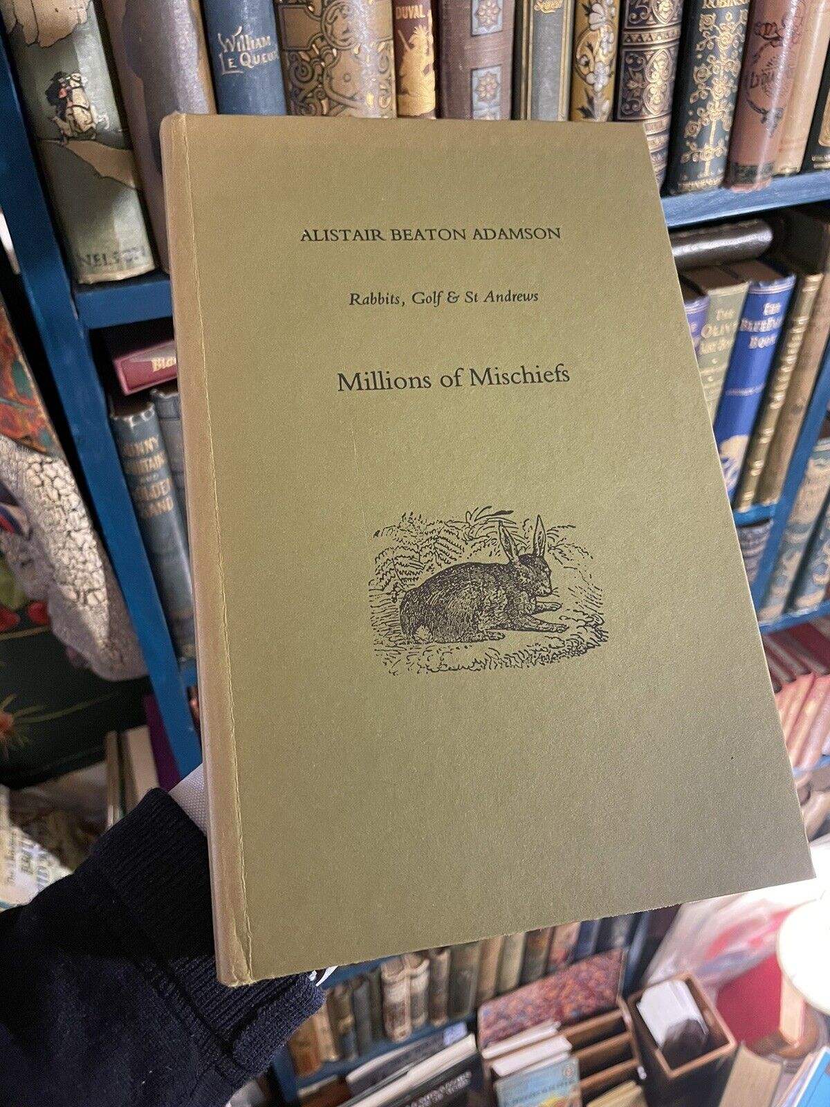 Alistair Beaton Adamson : Millions of Mischiefs : Rabbits Golf & St Andrews